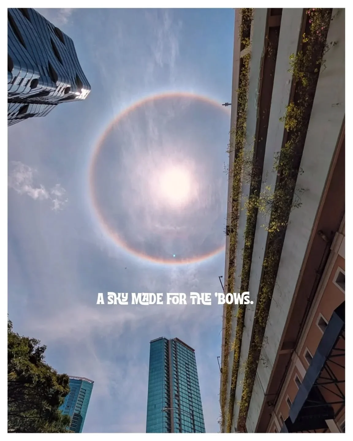 Did you see this solar halo today??? 

Go 'Bows. 🌈☀️🤙🏽