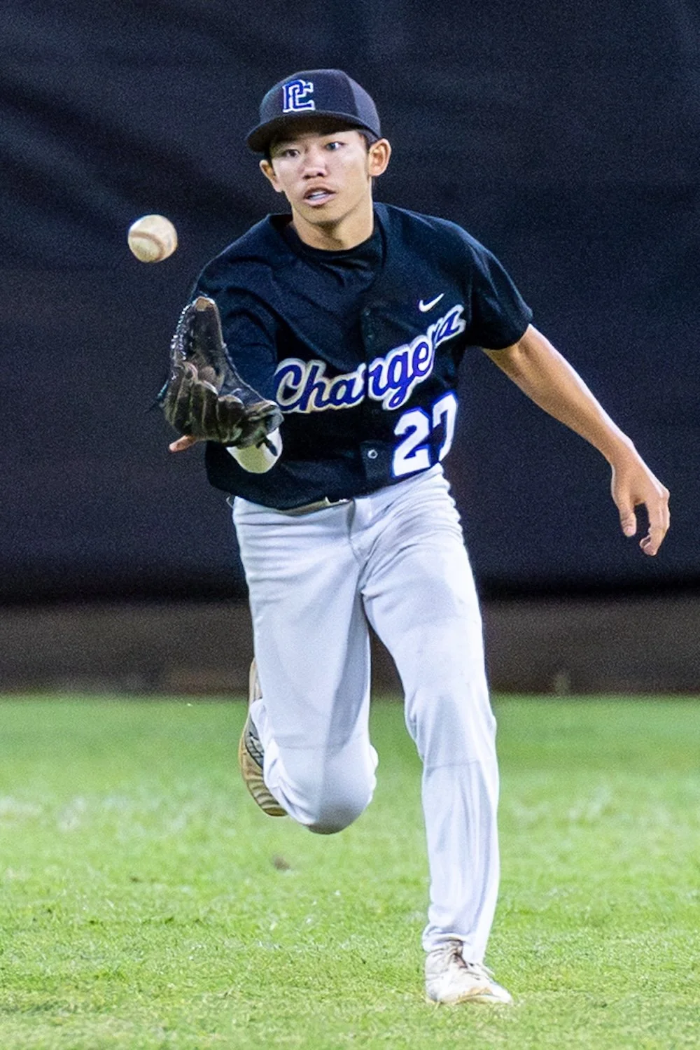 145 14 knee-810243.jpg