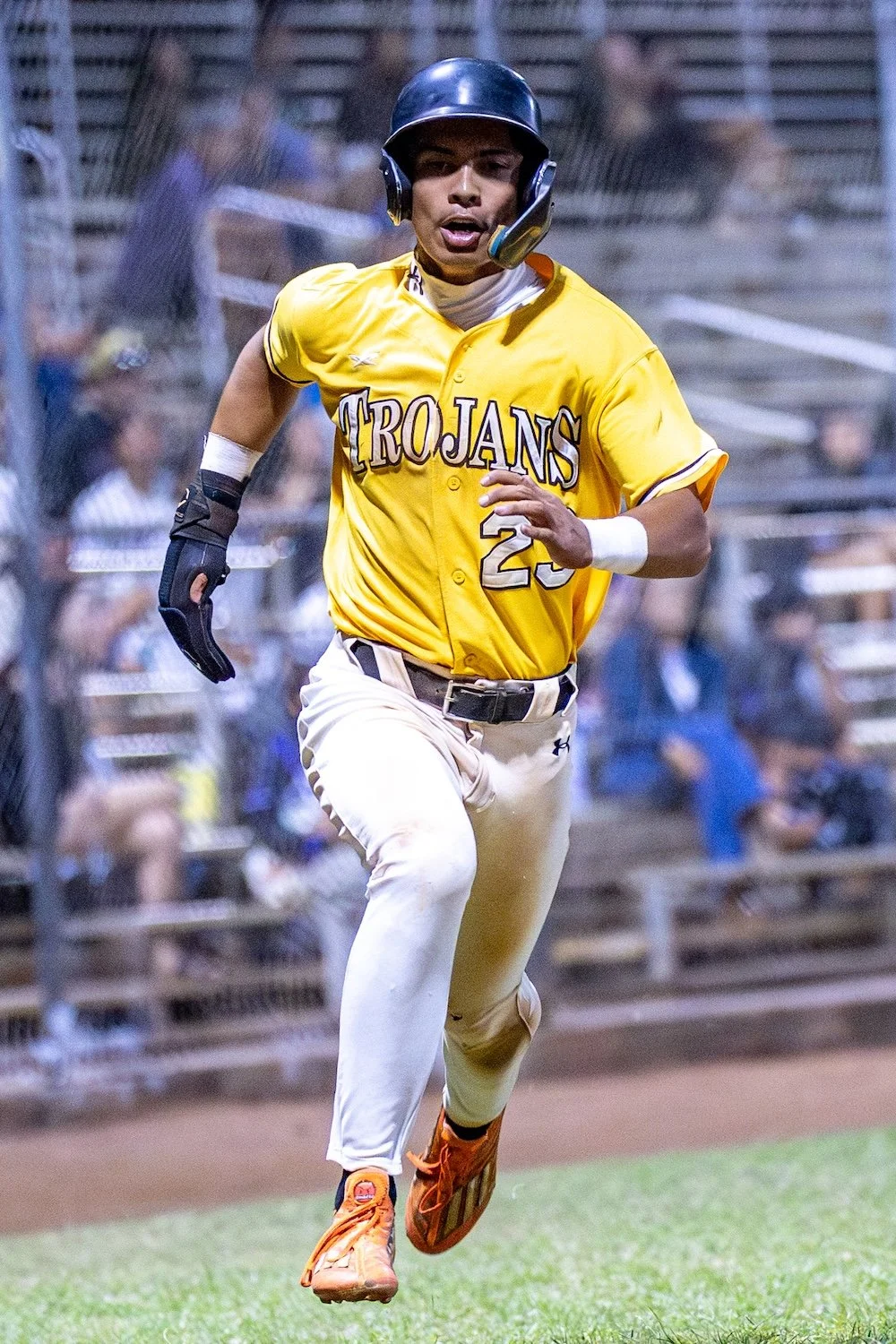 145 14 knee-810450.jpg