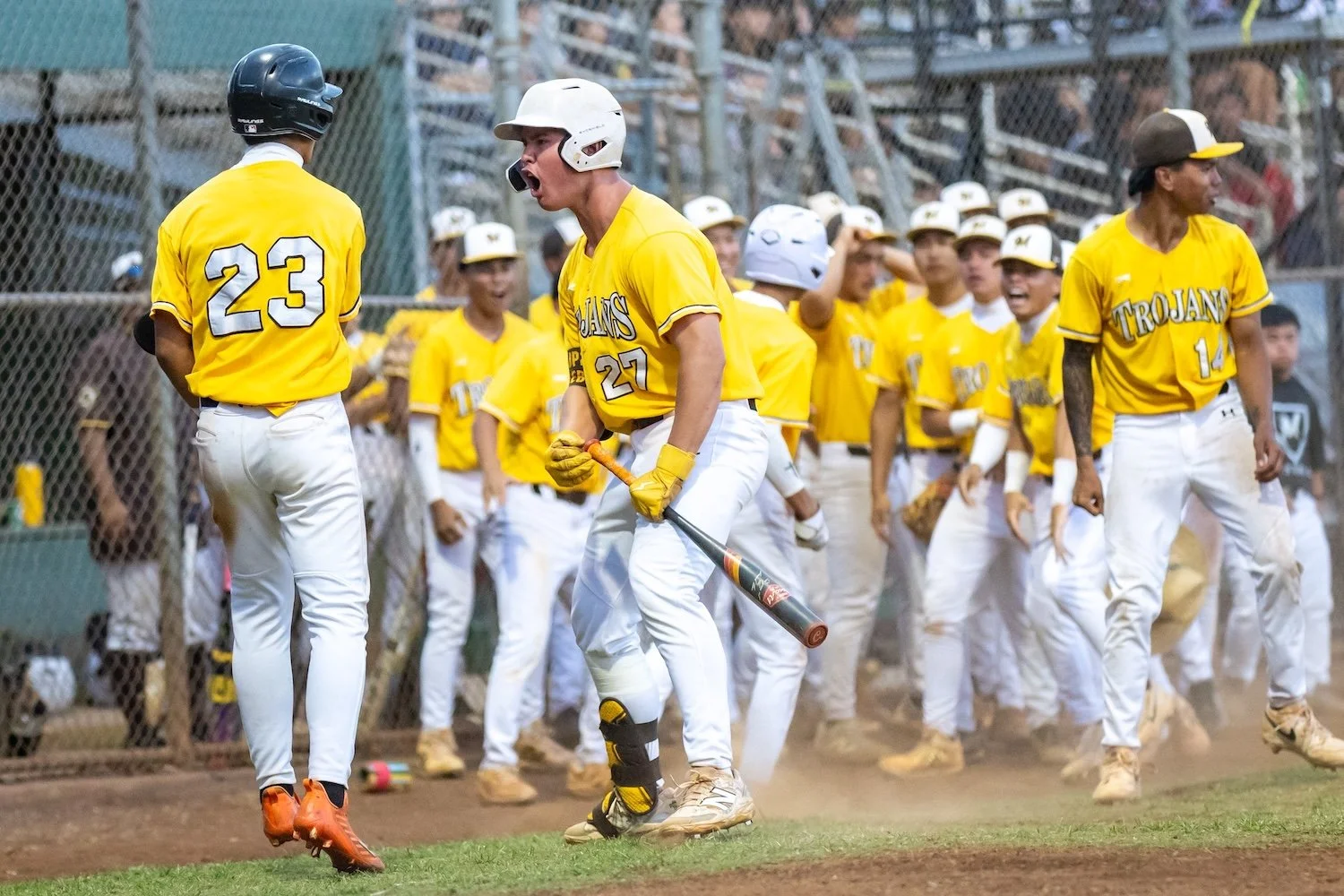 145 14 knee-810455.jpg