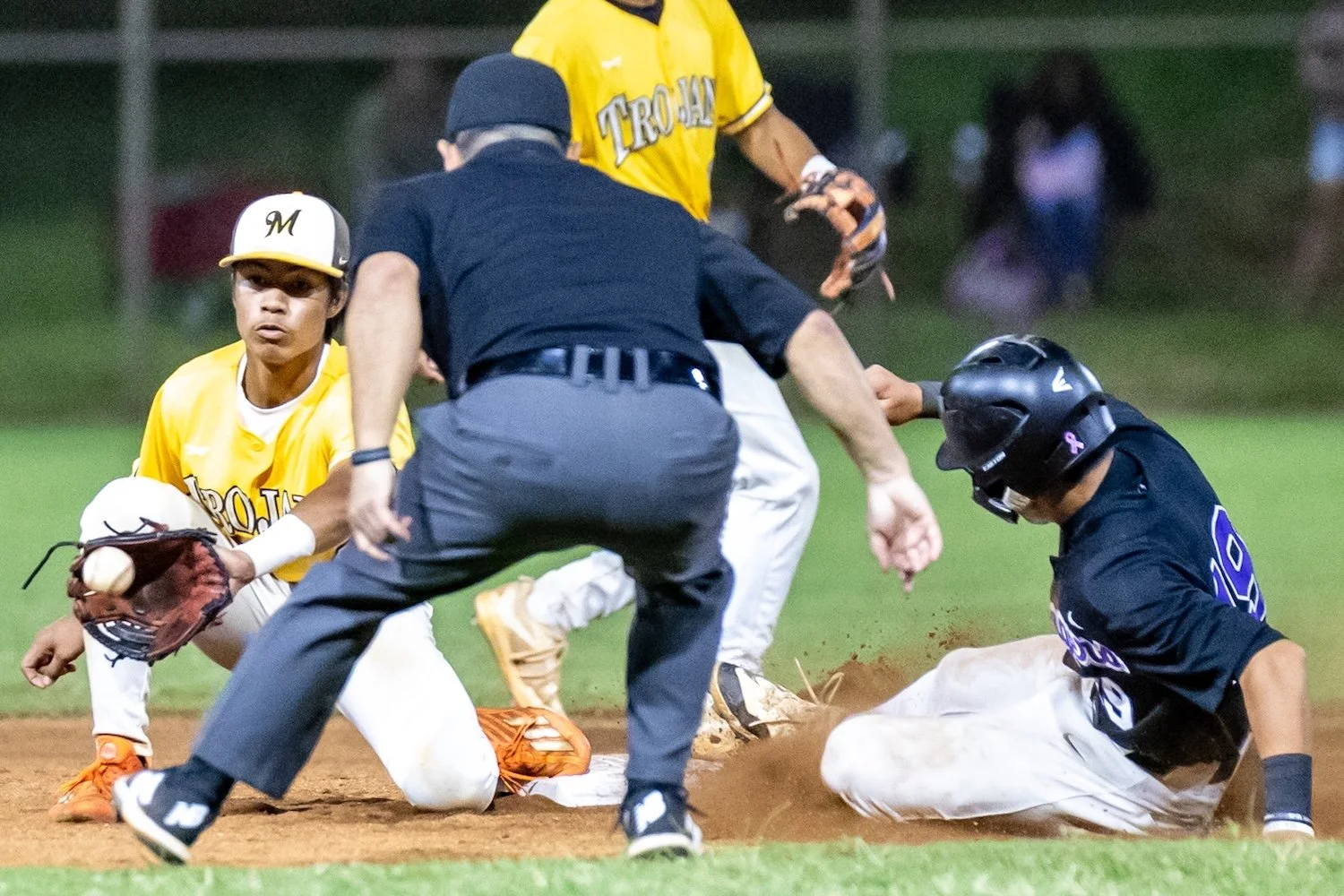 145 14 knee-810960.jpg