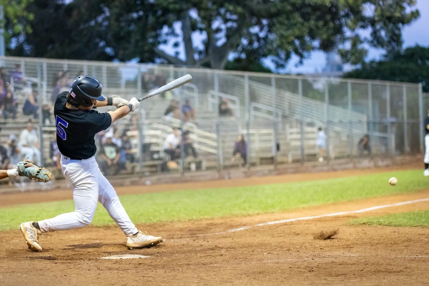 145 14 knee-810970.jpg