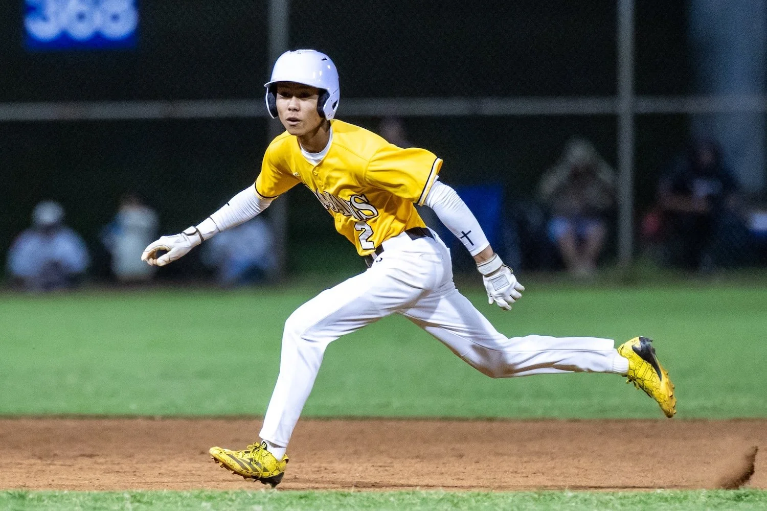 145 14 knee-810980.jpg