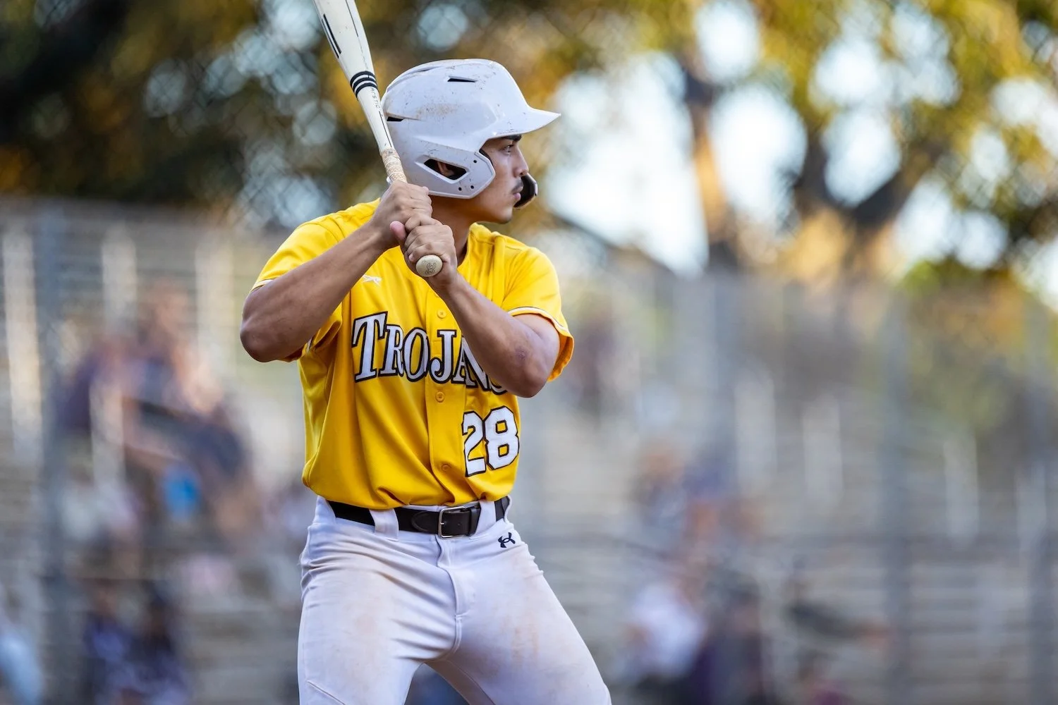 145 14 knee-811005.jpg