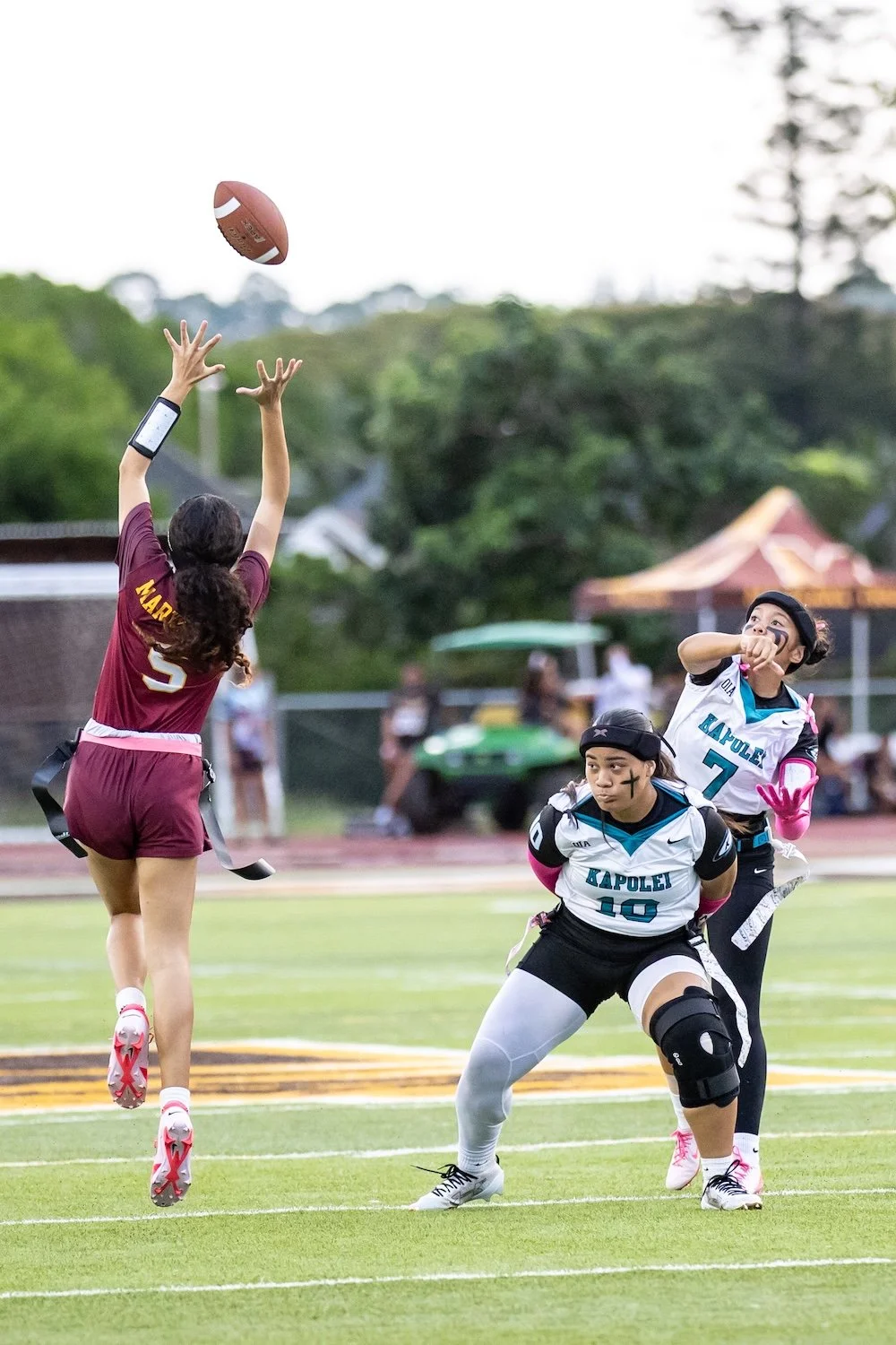 145 14 knee-824208.jpg