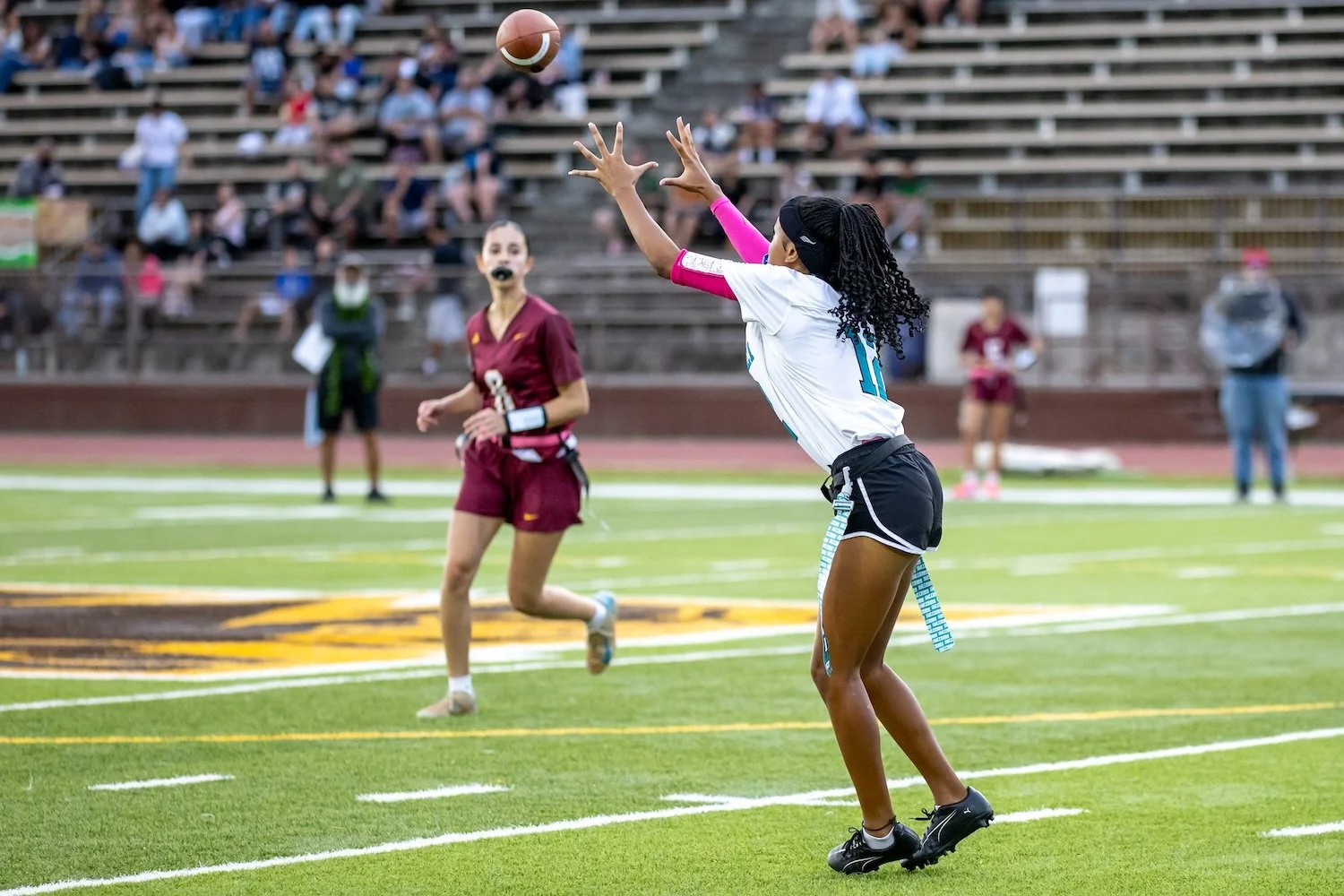 145 14 knee-824211.jpg