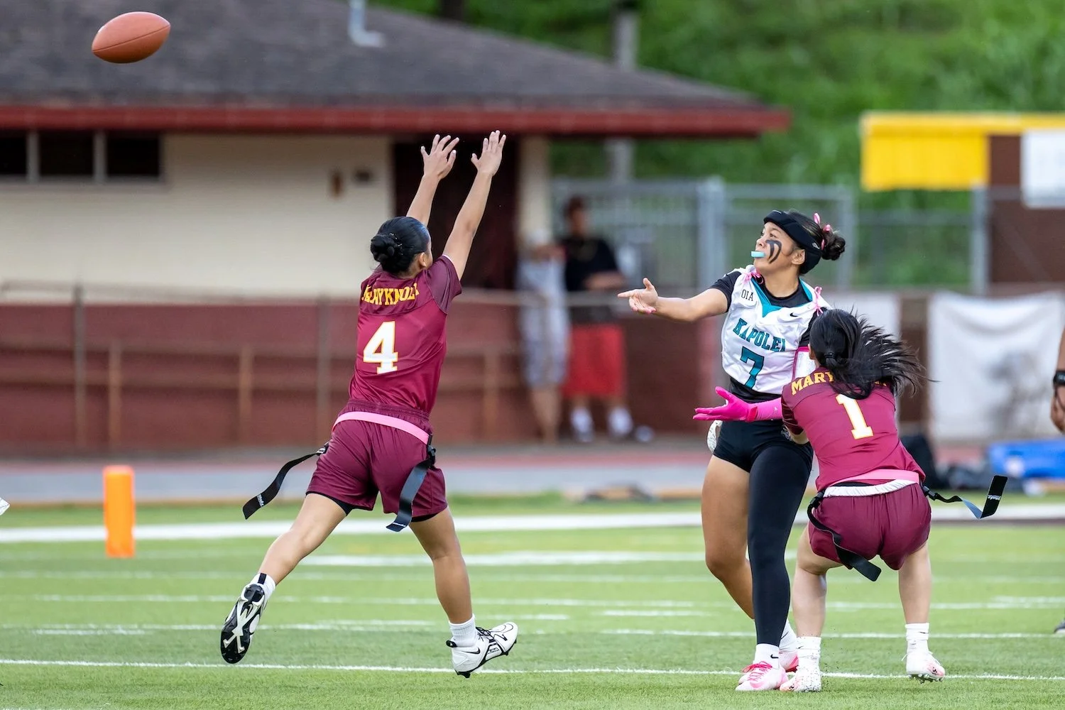 145 14 knee-824246.jpg