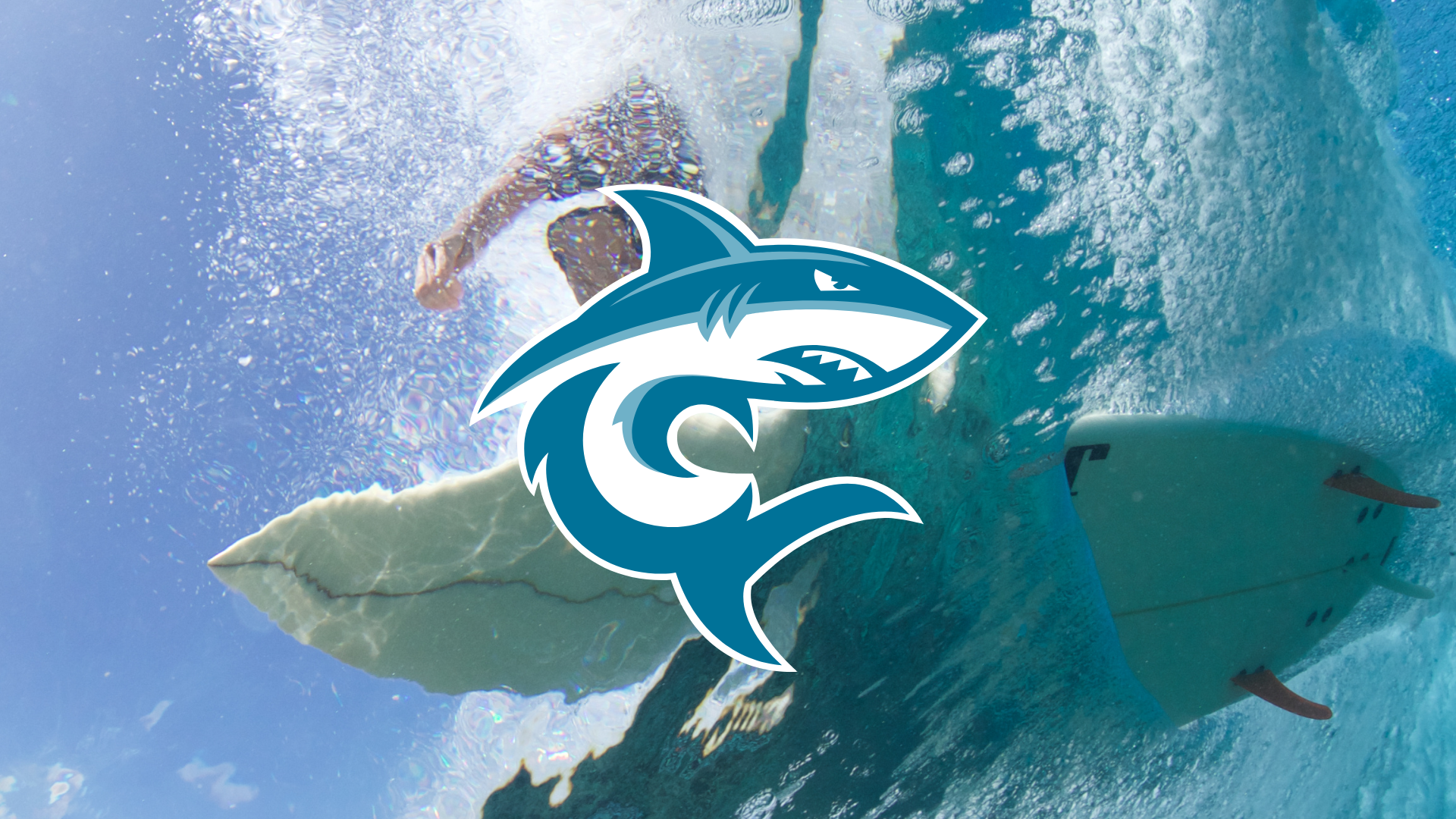 HPU to Launch Hawaiʻi’s First Collegiate Surf Team