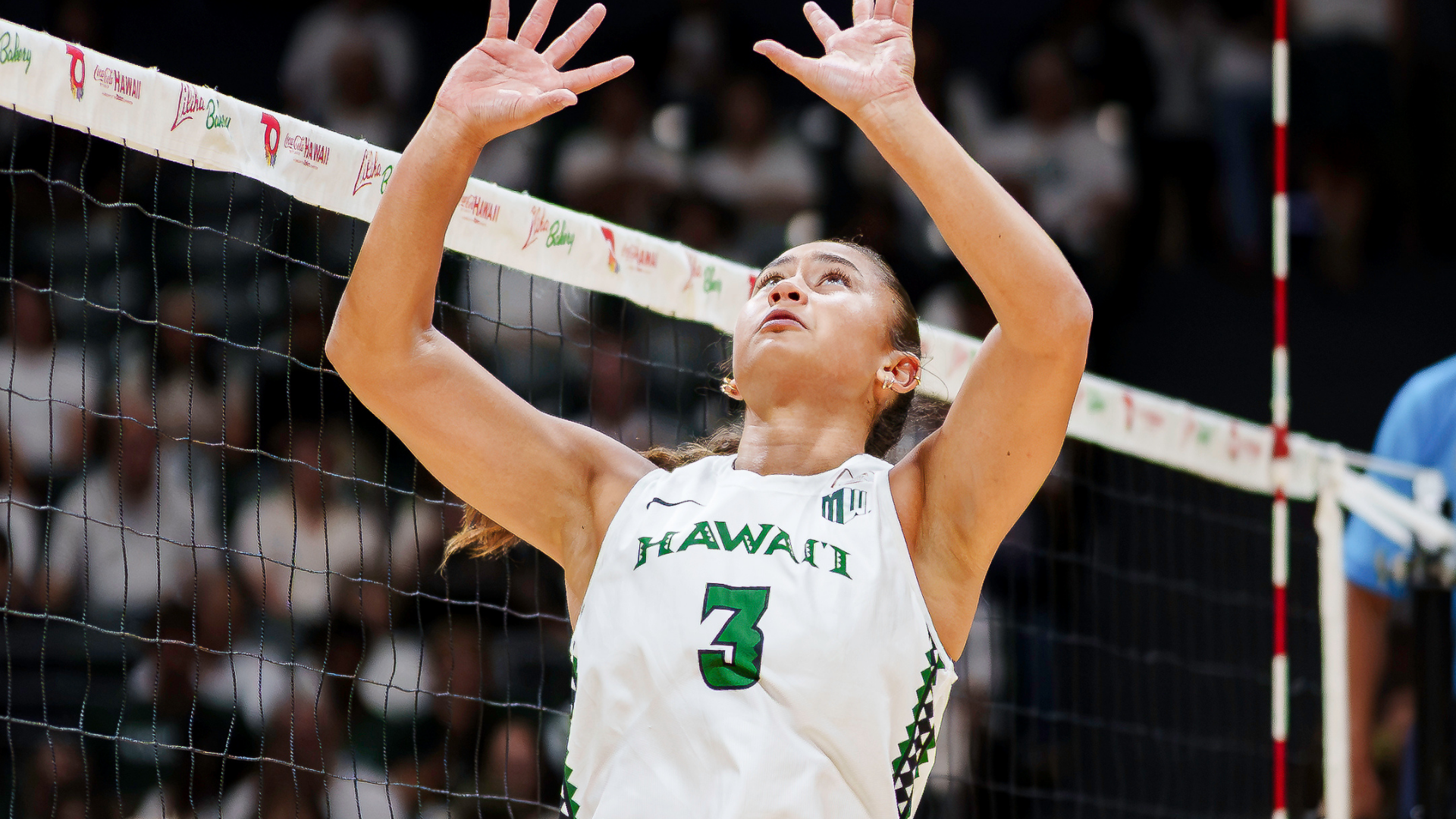 Tiff's takeaways for UH Women's Volleyball - Week 4