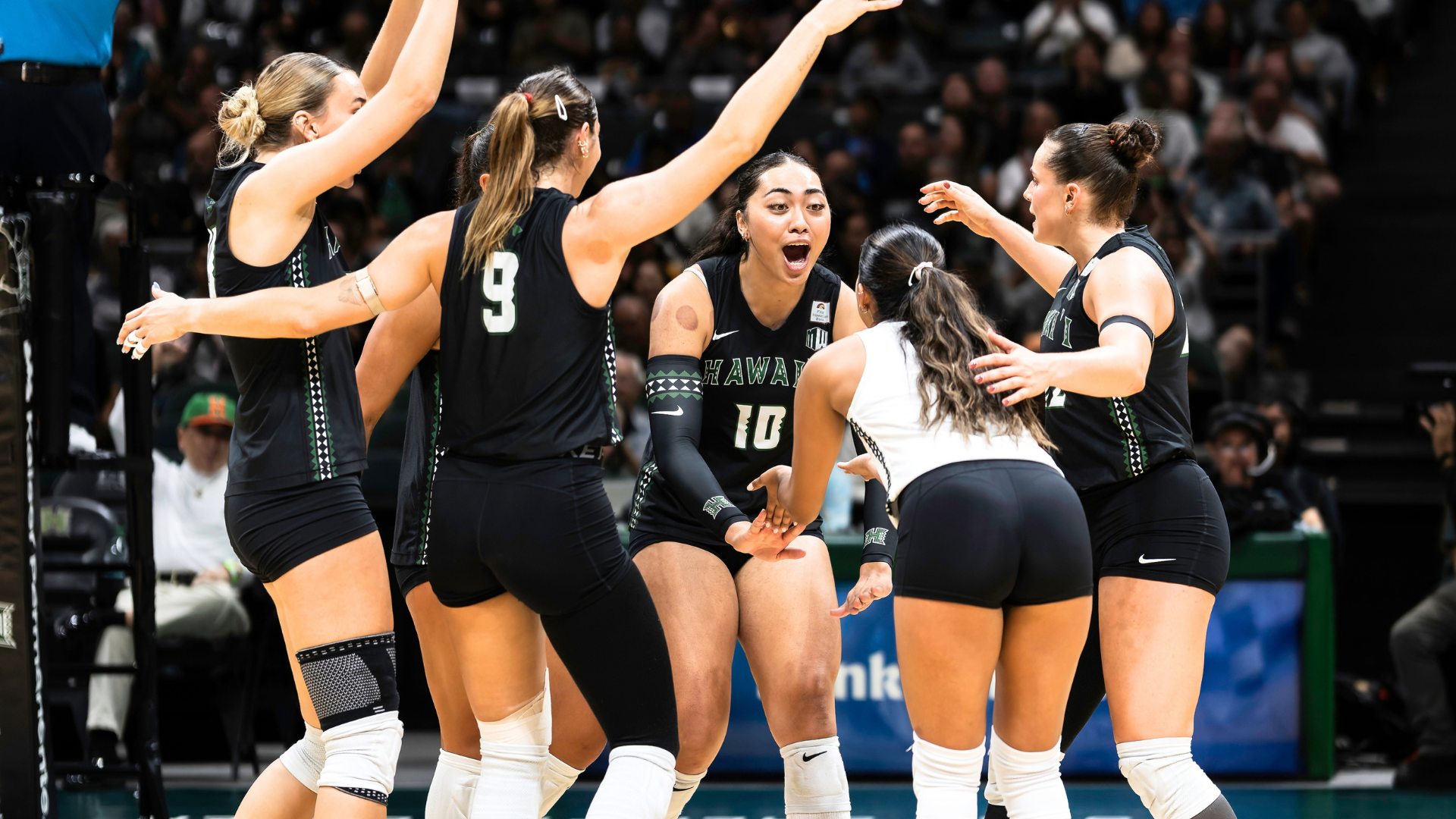 Tiff's takeaways for UH Women's Volleyball - Week 5