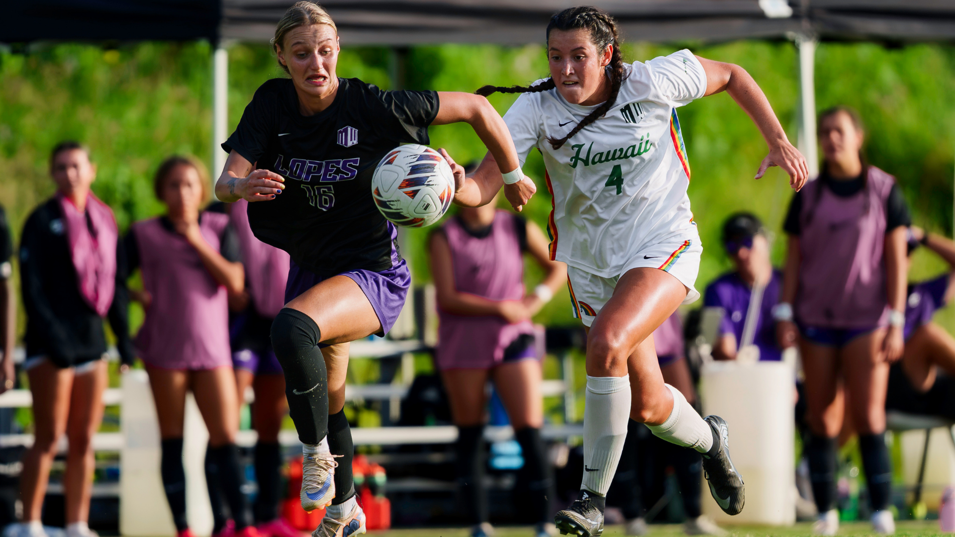 Rainbow Wahine Extend Winning Streak to Six with Shutout Over Grand Canyon
