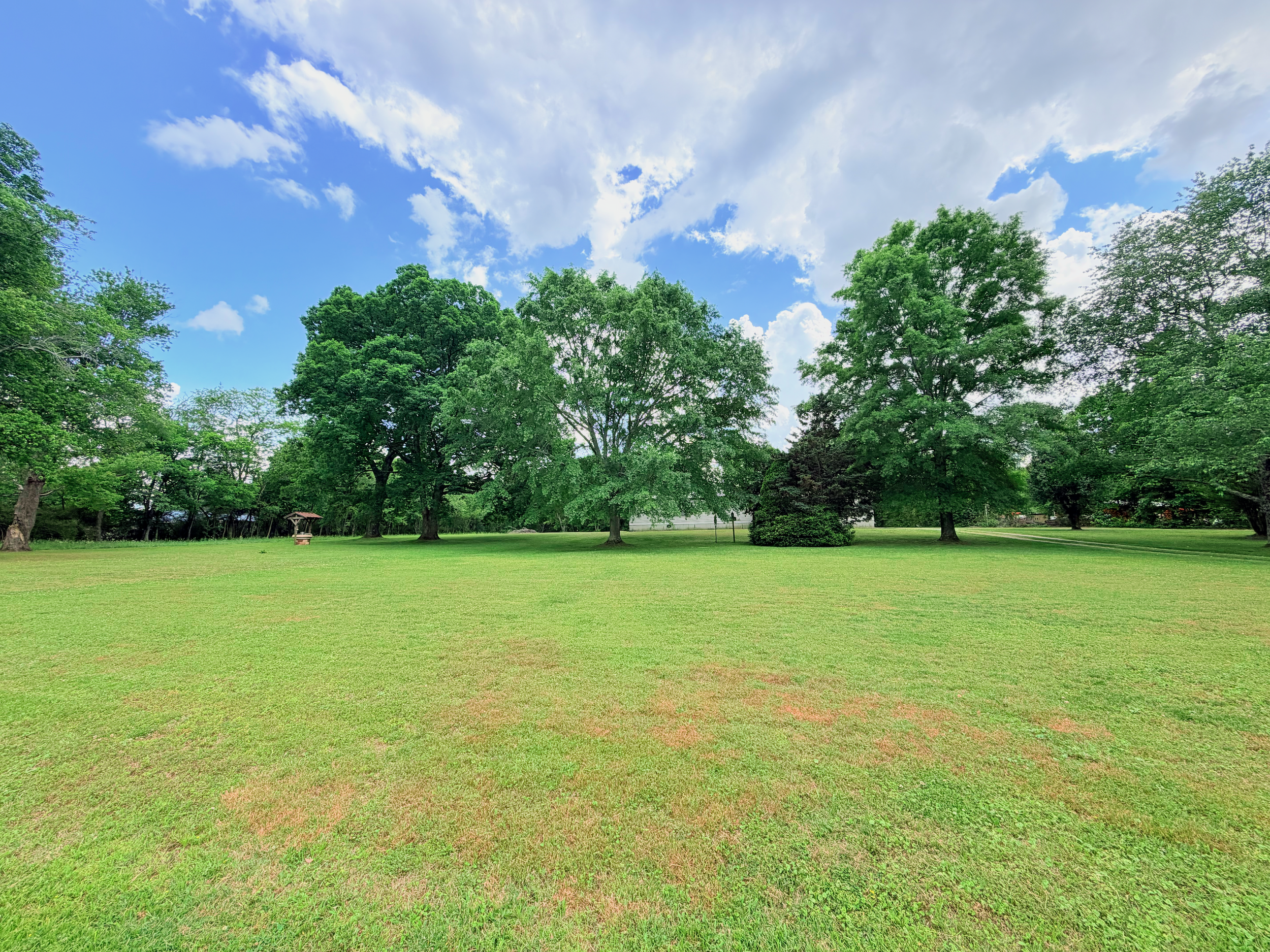 A grassy park with tall green trees under a partly cloudy sky.
