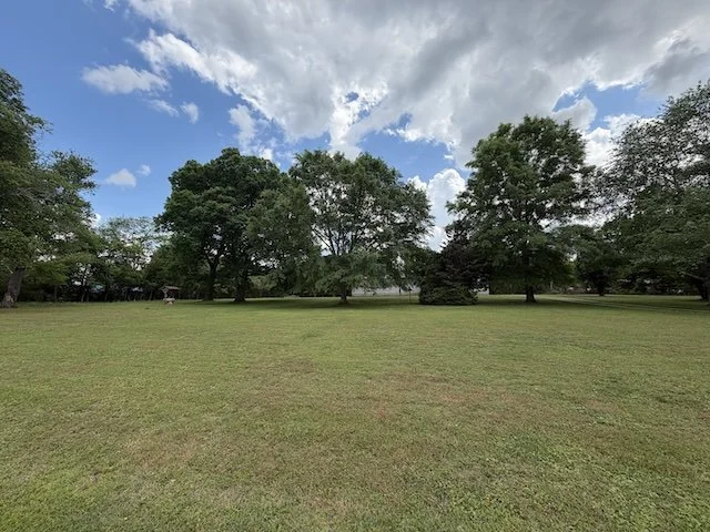 Open grassy park with scattered trees and a partly cloudy sky.