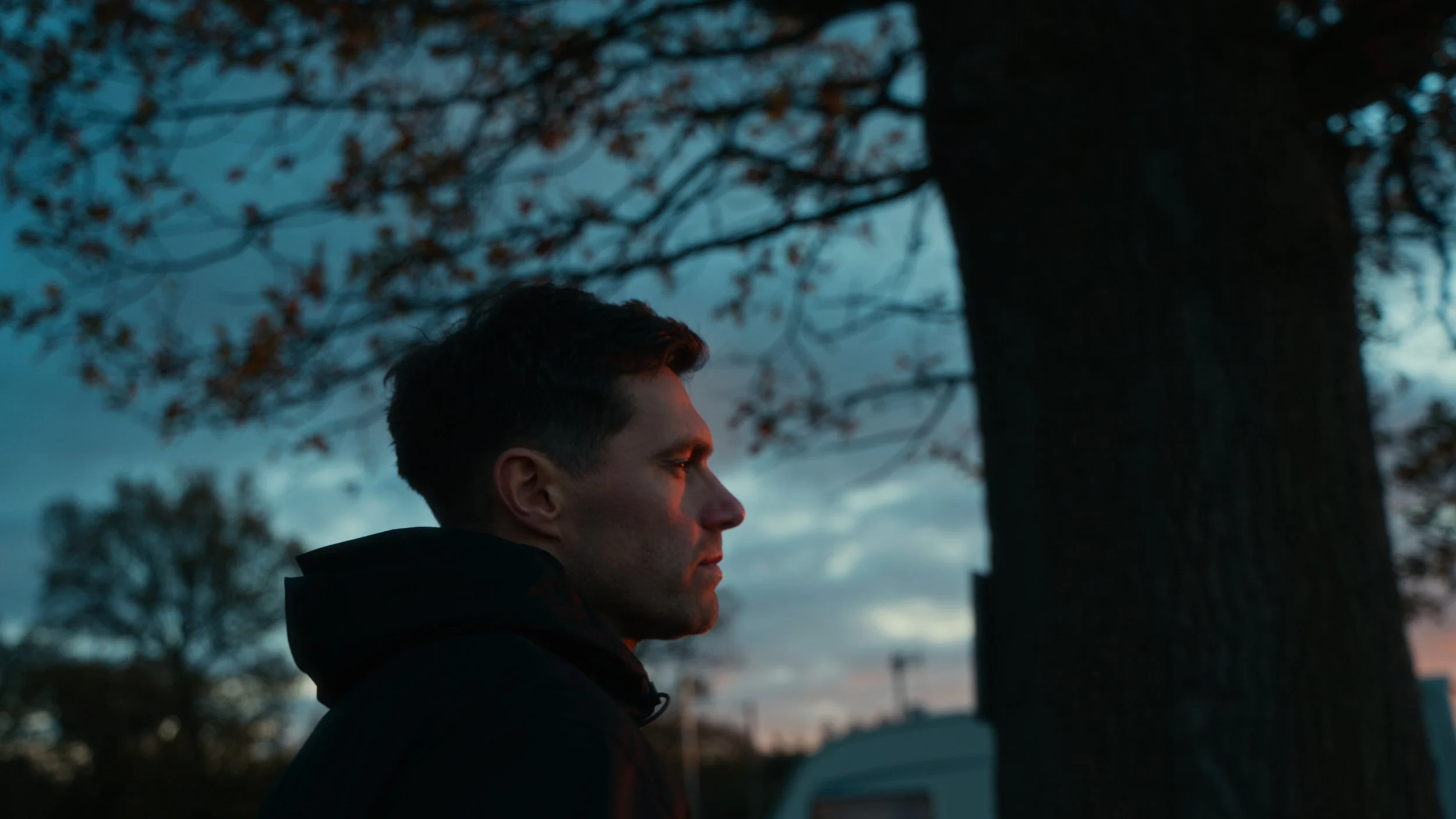 A man with short dark hair, wearing a black hoodie, stands outdoors near a large tree during dusk or dawn. The background shows a cloudy sky with faint light.