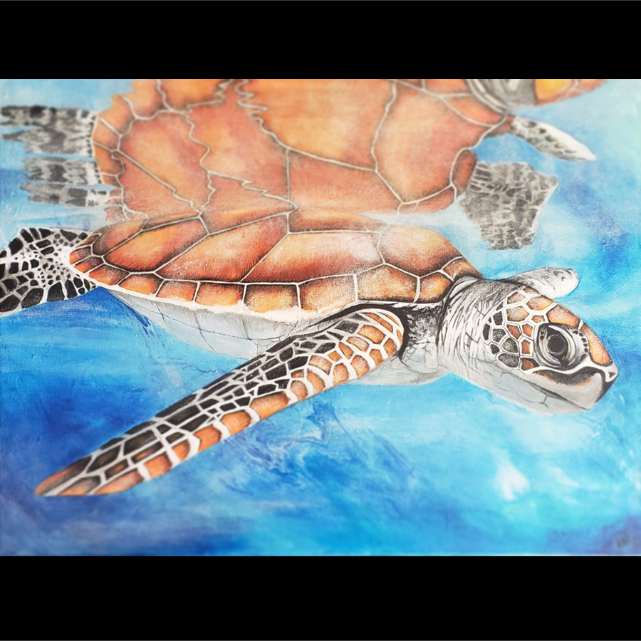 Vibrant acrylic painting of a sea turtle with an orange shell swimming in blue water, near the surface with it's reflection showing above on the surface of the water.