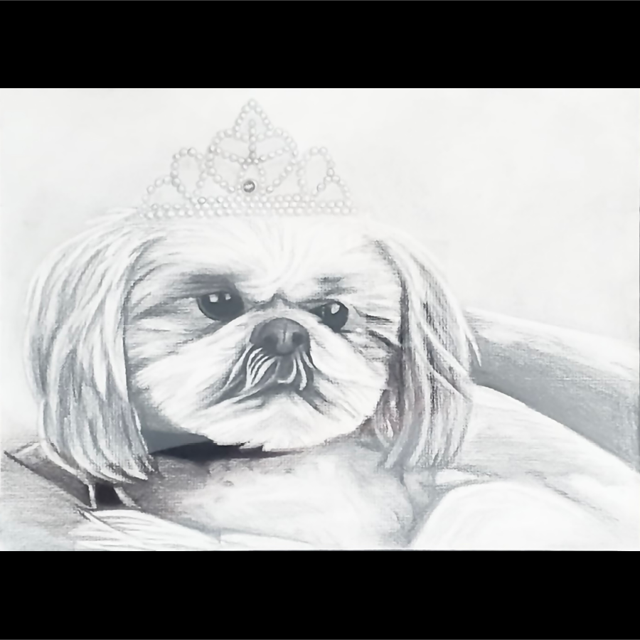 A grayscale sketch of a dog with a serious expression, wearing a princess tiara, lying on a surface.