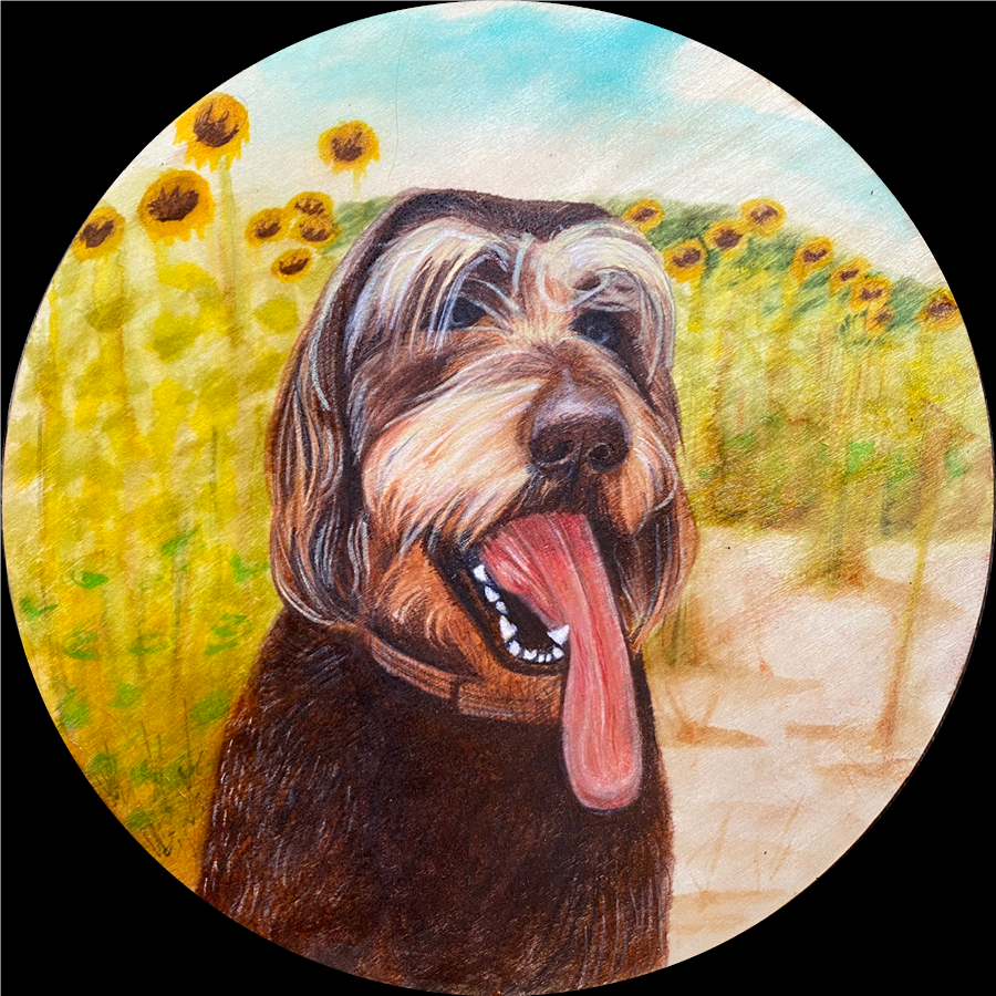 A circular panel with a portrait of a happy dog with black-brown curly fur and long white eyebrows with its tongue out, in front of a bright field of yellow sunflowers under a blue sky, made with ink. colored pencil, and acrylic.