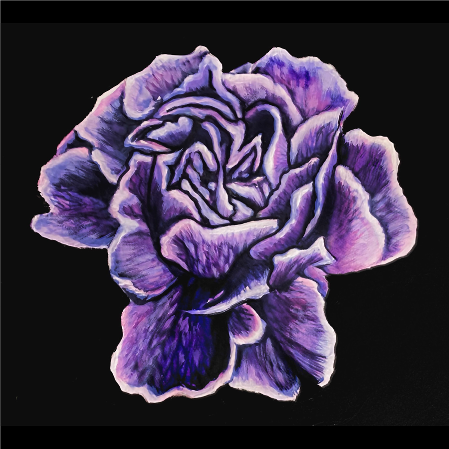 A detailed purple rose with various shades of purple and hints of pink, set against a black background, made with ink and acrylic.