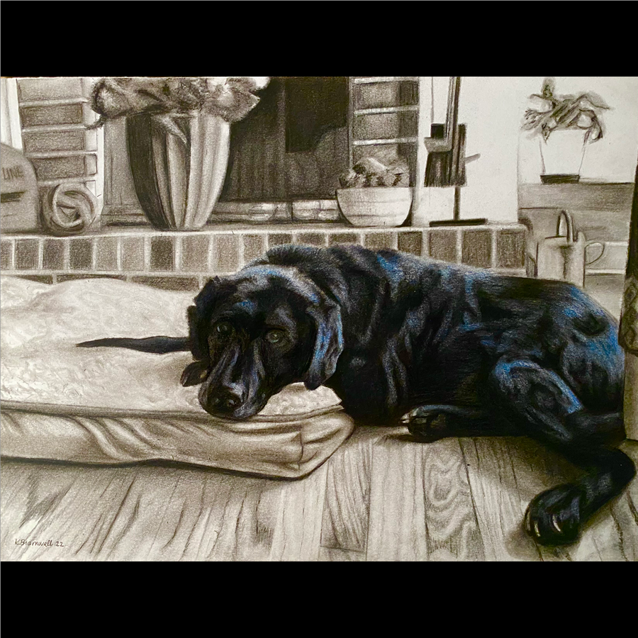 A black Labrador retriever dog resting half on a dog bed, half on the wooden floor, in a living room with plants, decor and a fireplace in the background.