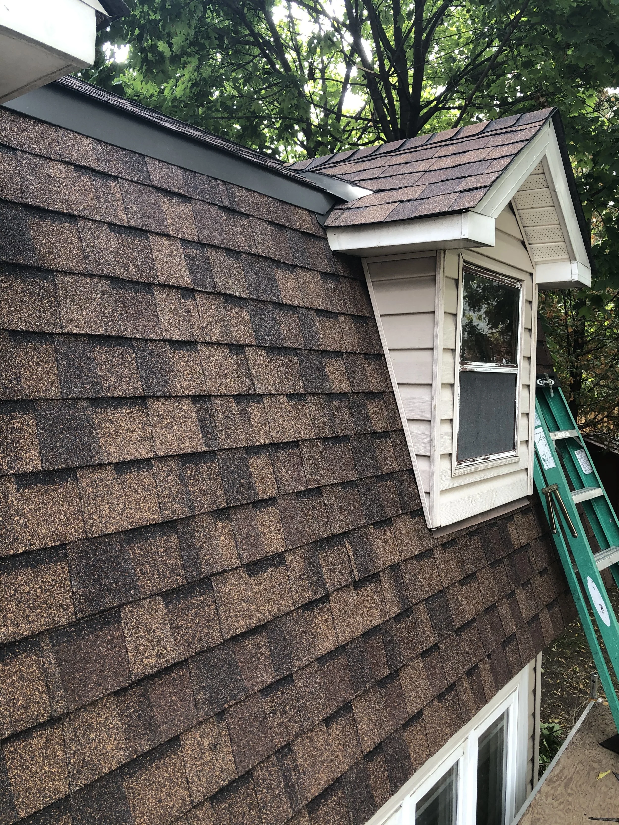 View of a house roof with brown asphalt shingles, a small dormer window with a metal frame, and a green ladder leaning against the side, surrounded by green trees.