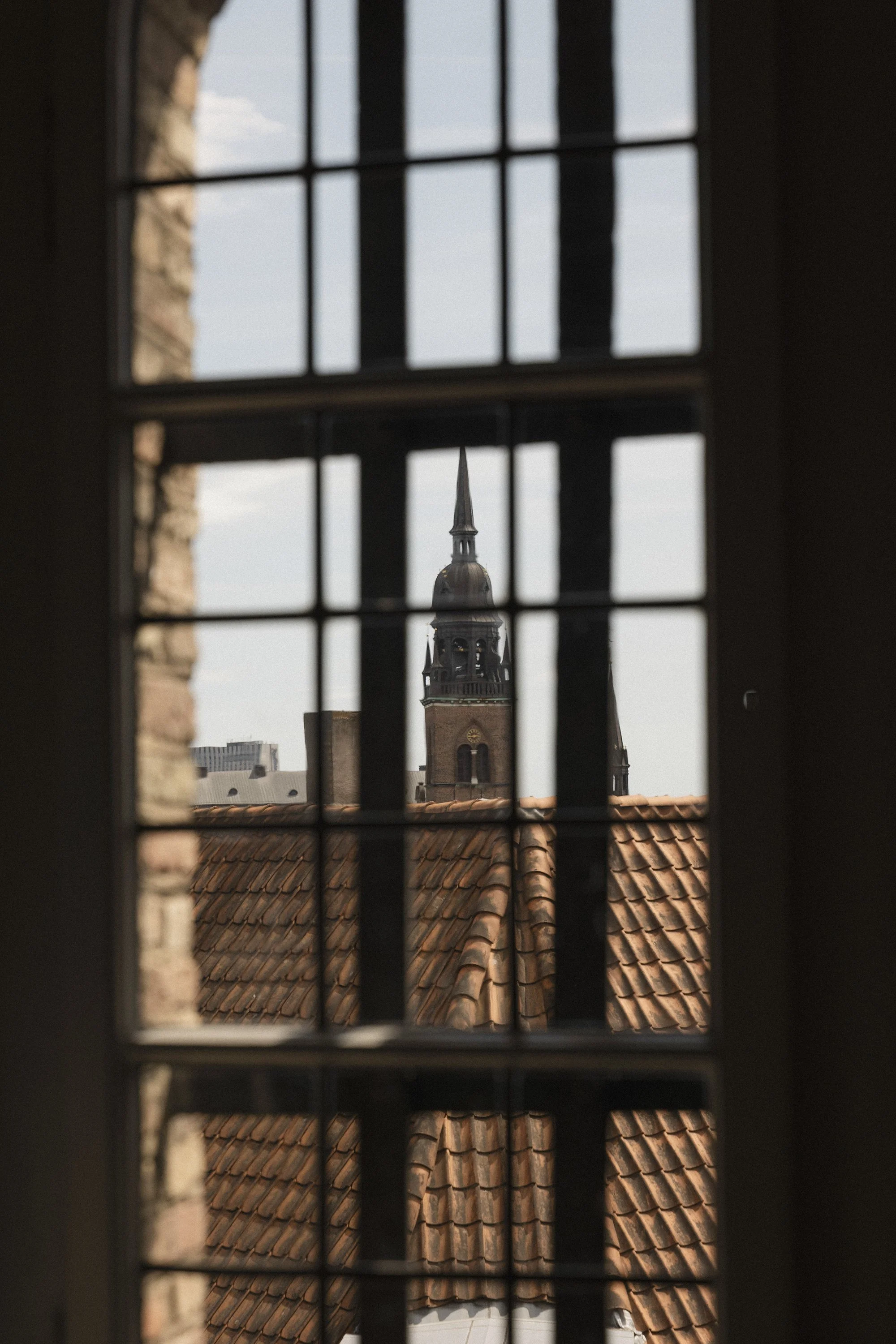L1140590_low.jpg