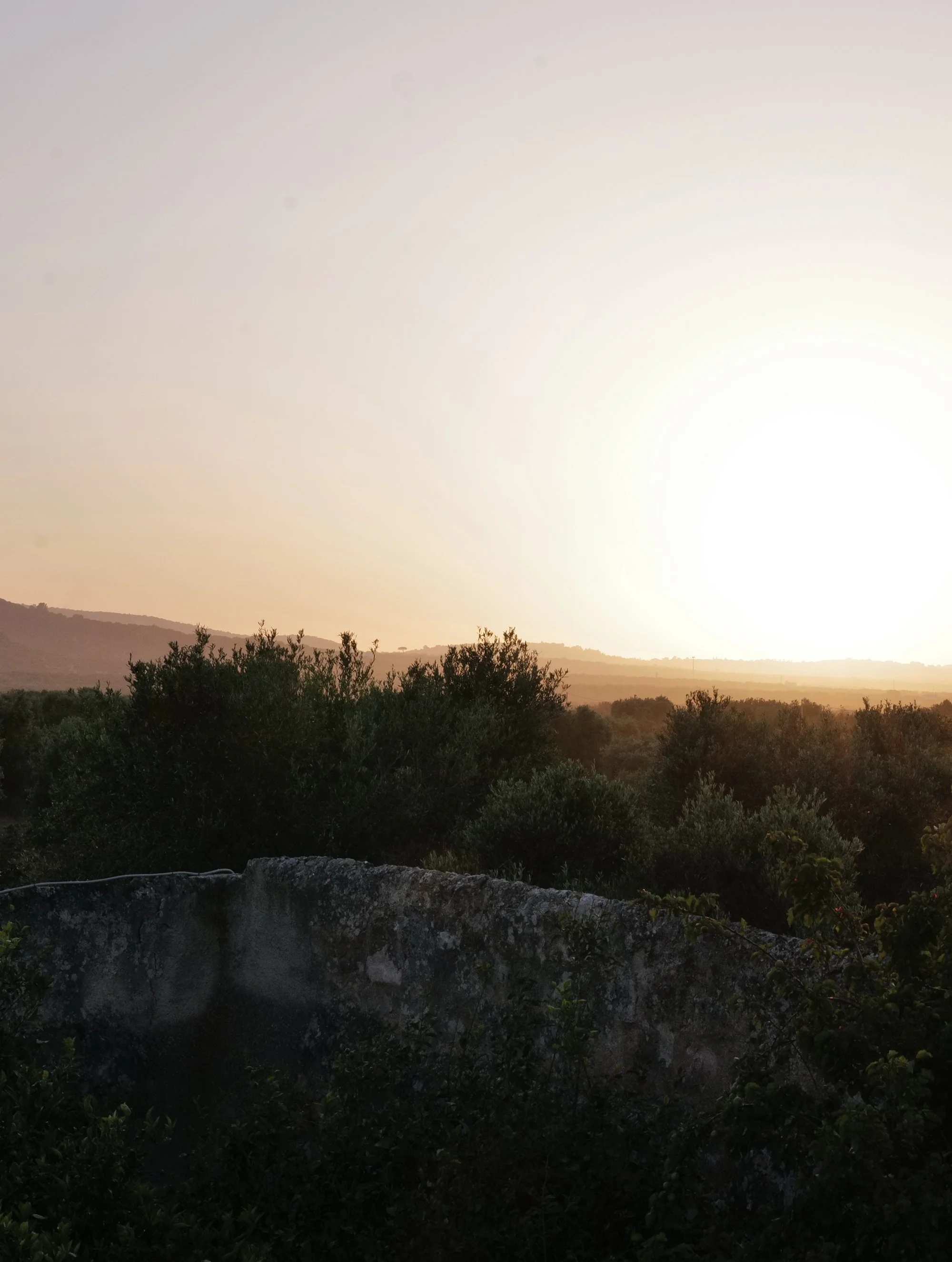L1060765_lo.jpg