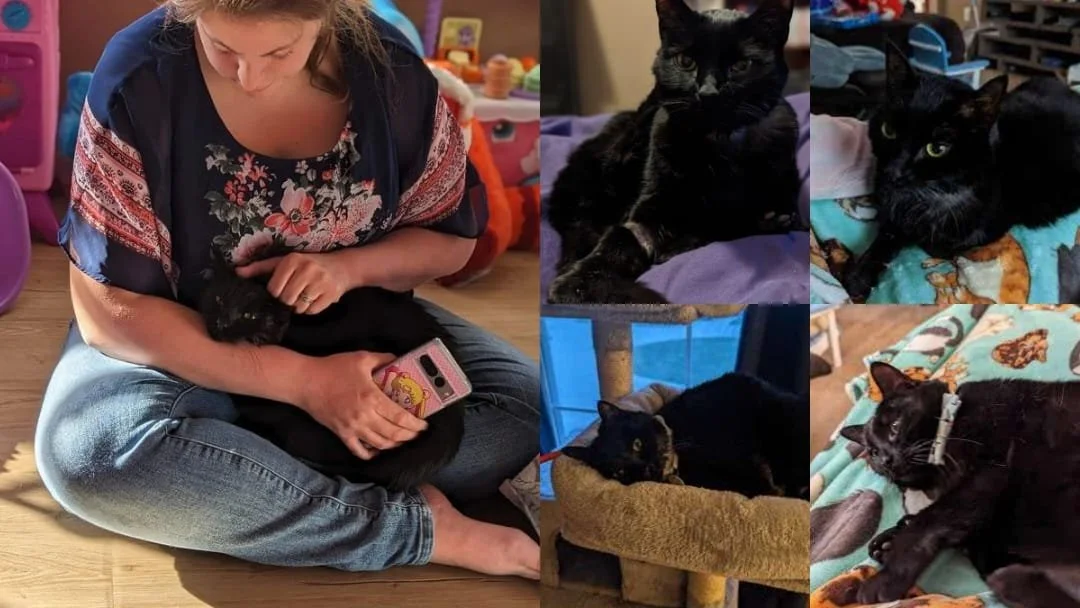 Sad news and Good News