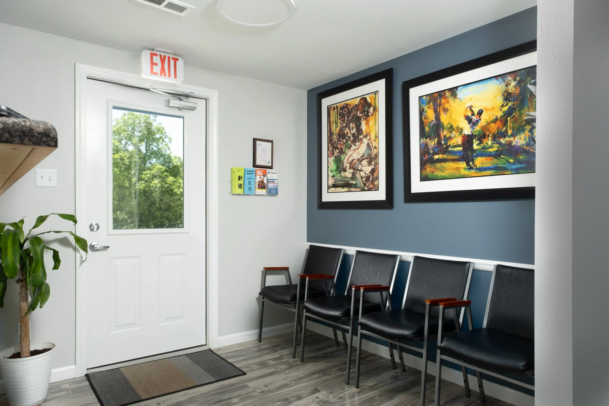 Waiting room with four black chairs with wooden armrests, a potted plant, colorful paintings on the wall, and a glass door with an exit sign above, showing green trees outside.