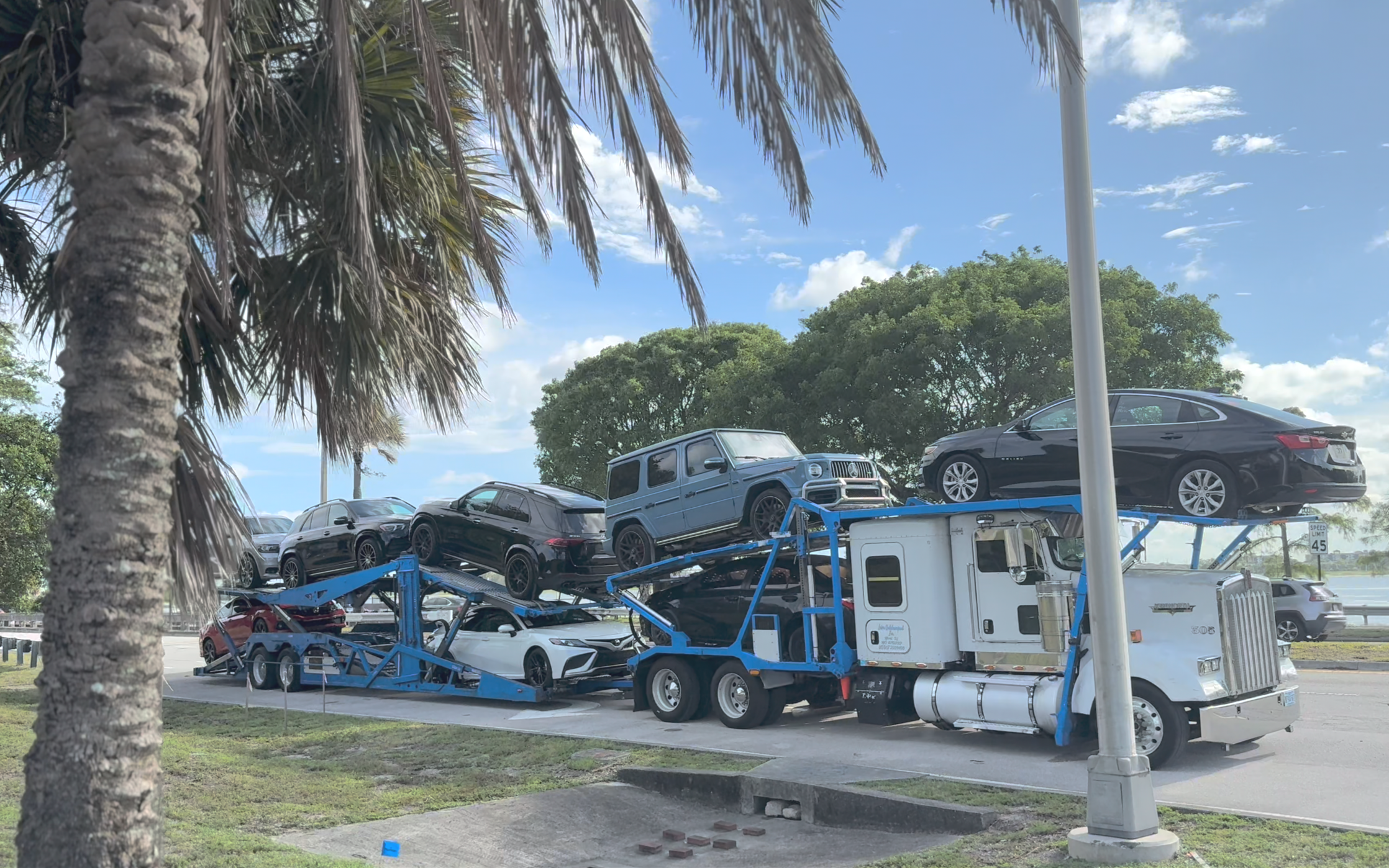 iphone background.png