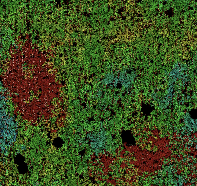 Close-up of a colorful surface with red, green, and blue speckles and black spots.