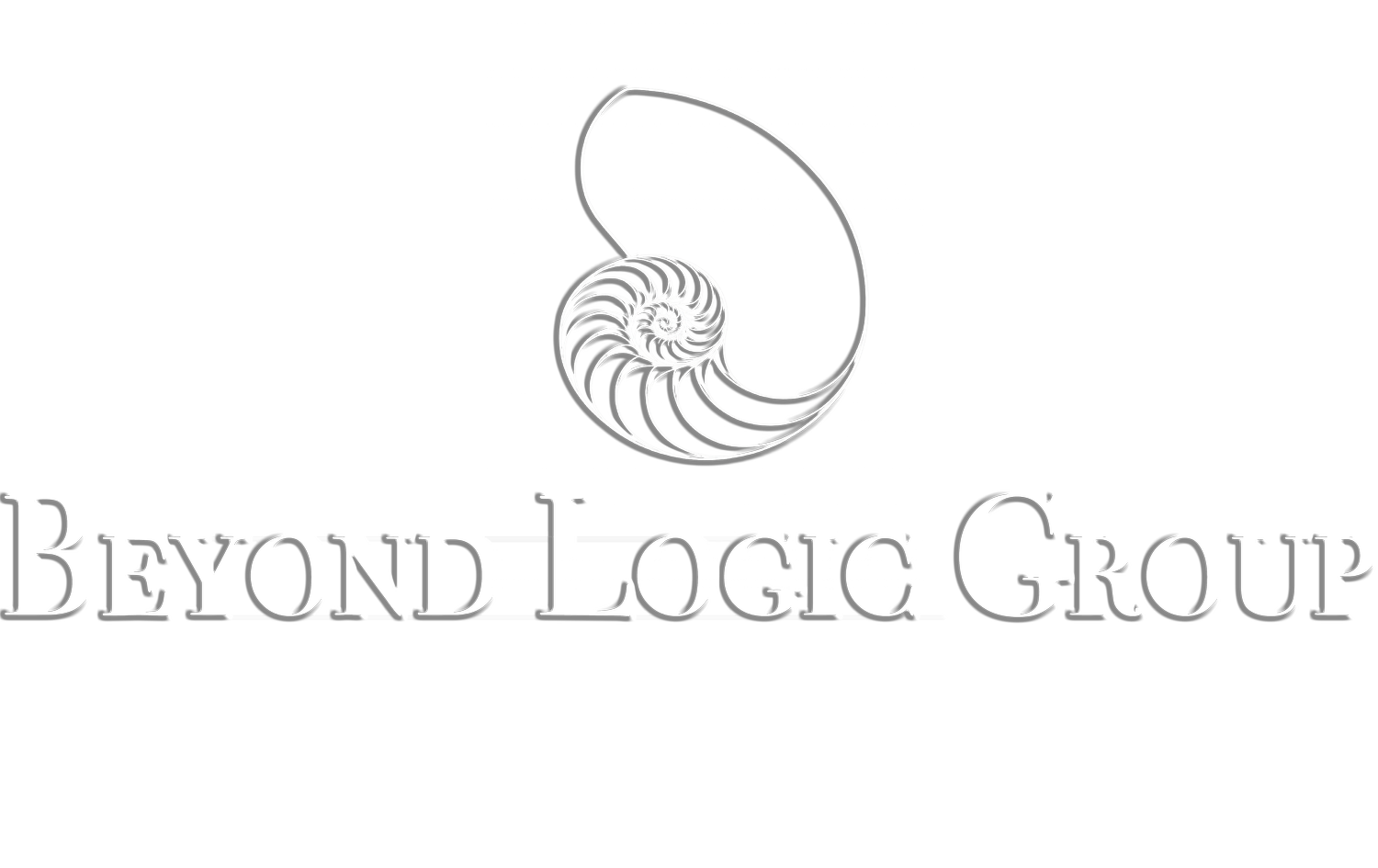 Beyond Logic Group