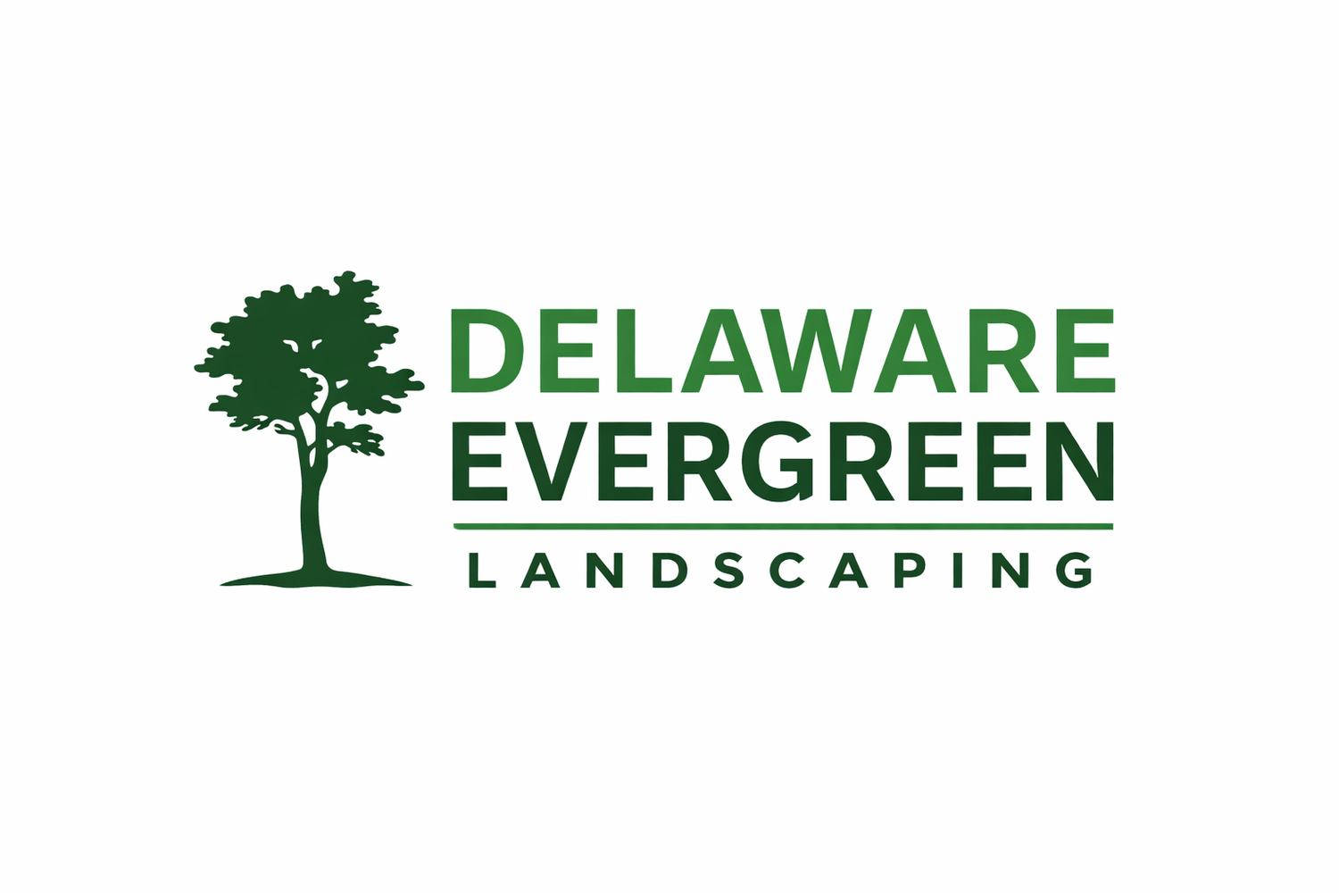 Delaware Evergreen