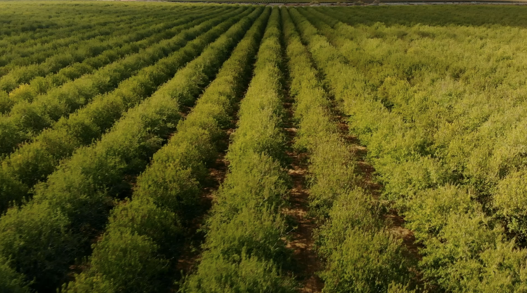 Screenshot 2026-02-04 at 8.48.09 AM.png