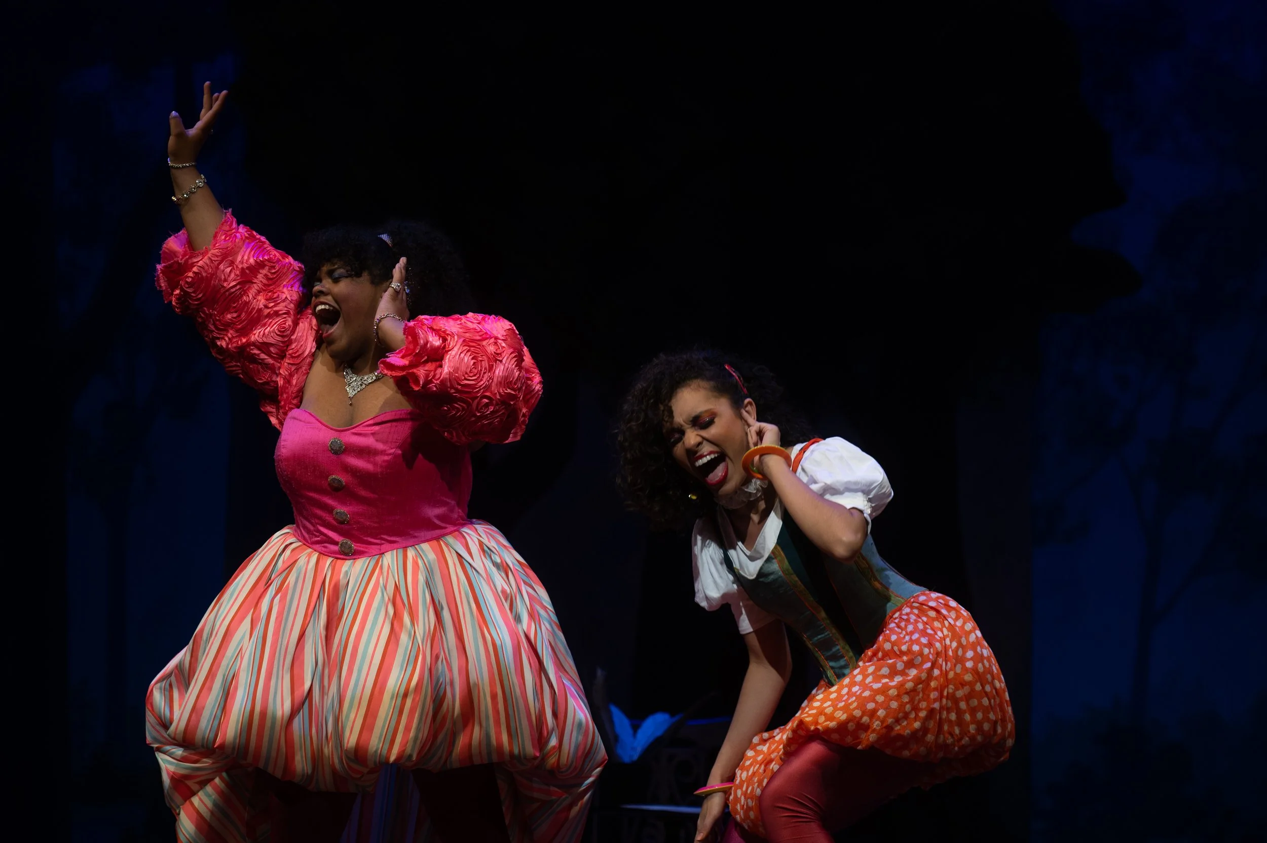 Head Over Heels, Kent State University
(Assistant Director)