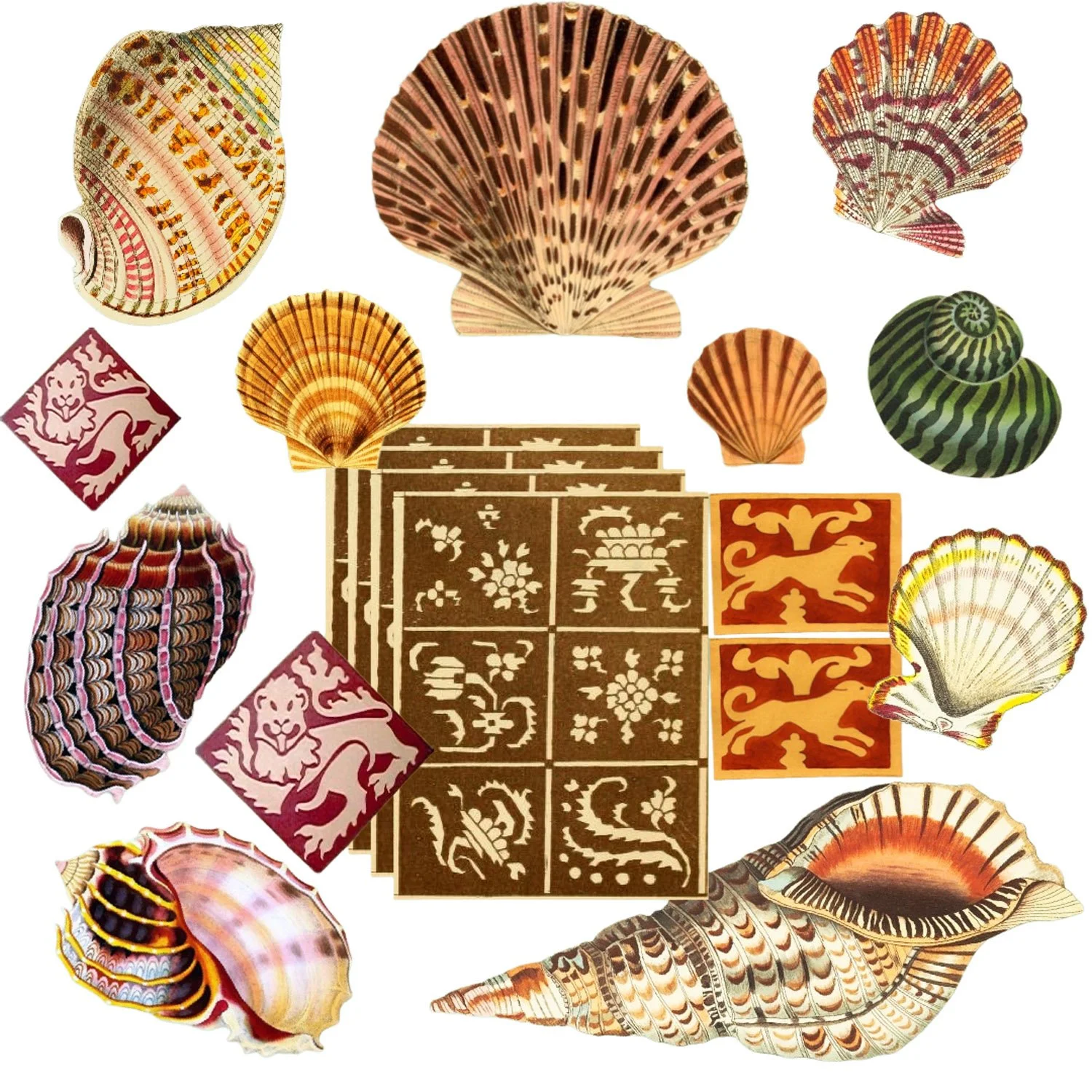 Collection of seashells and decorative tiles arranged on a white background.