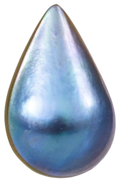 Close-up of a shiny, iridescent, blue-gray pearl with a teardrop shape.