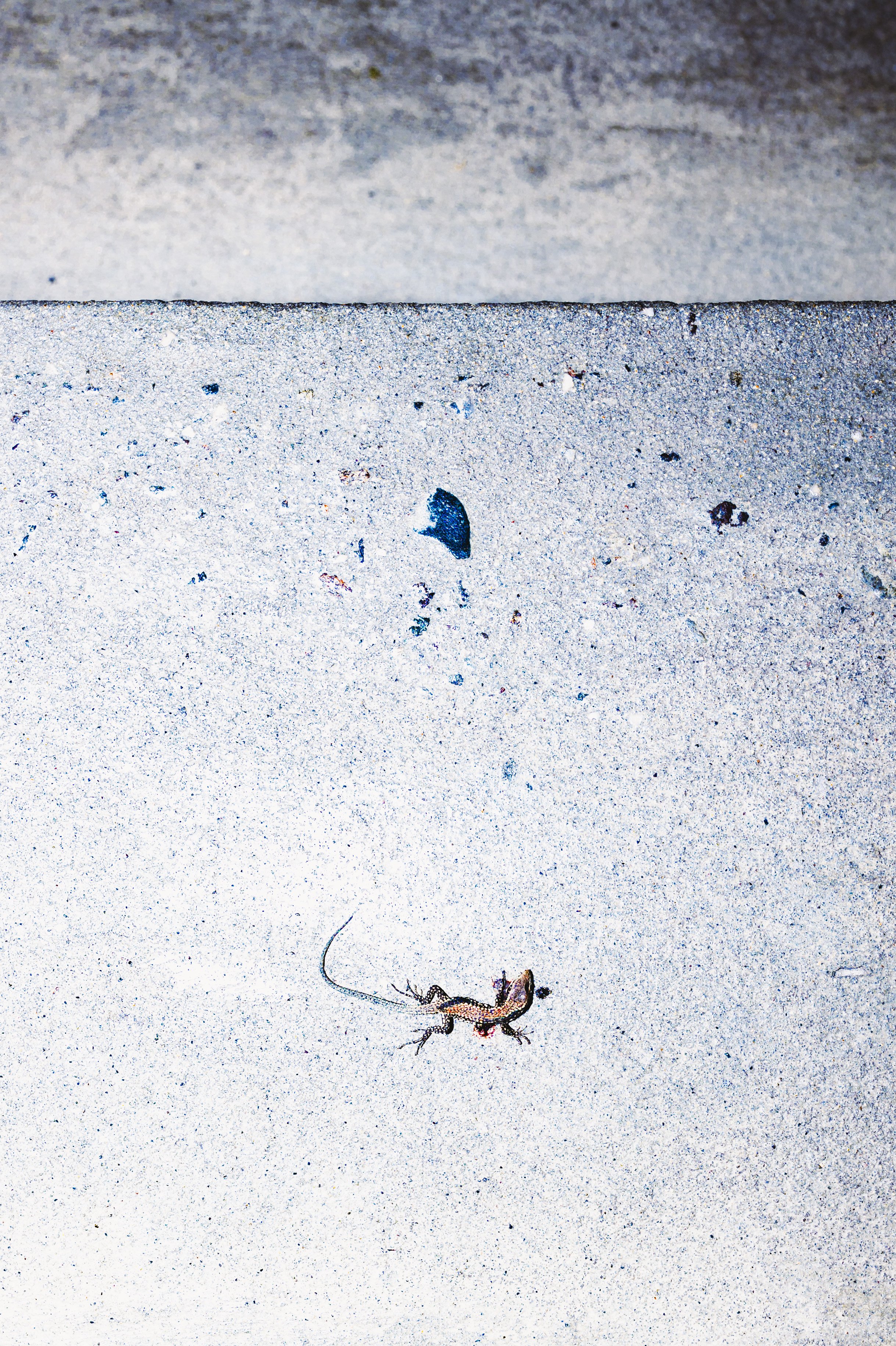 Berge mit Jonas-041.jpg