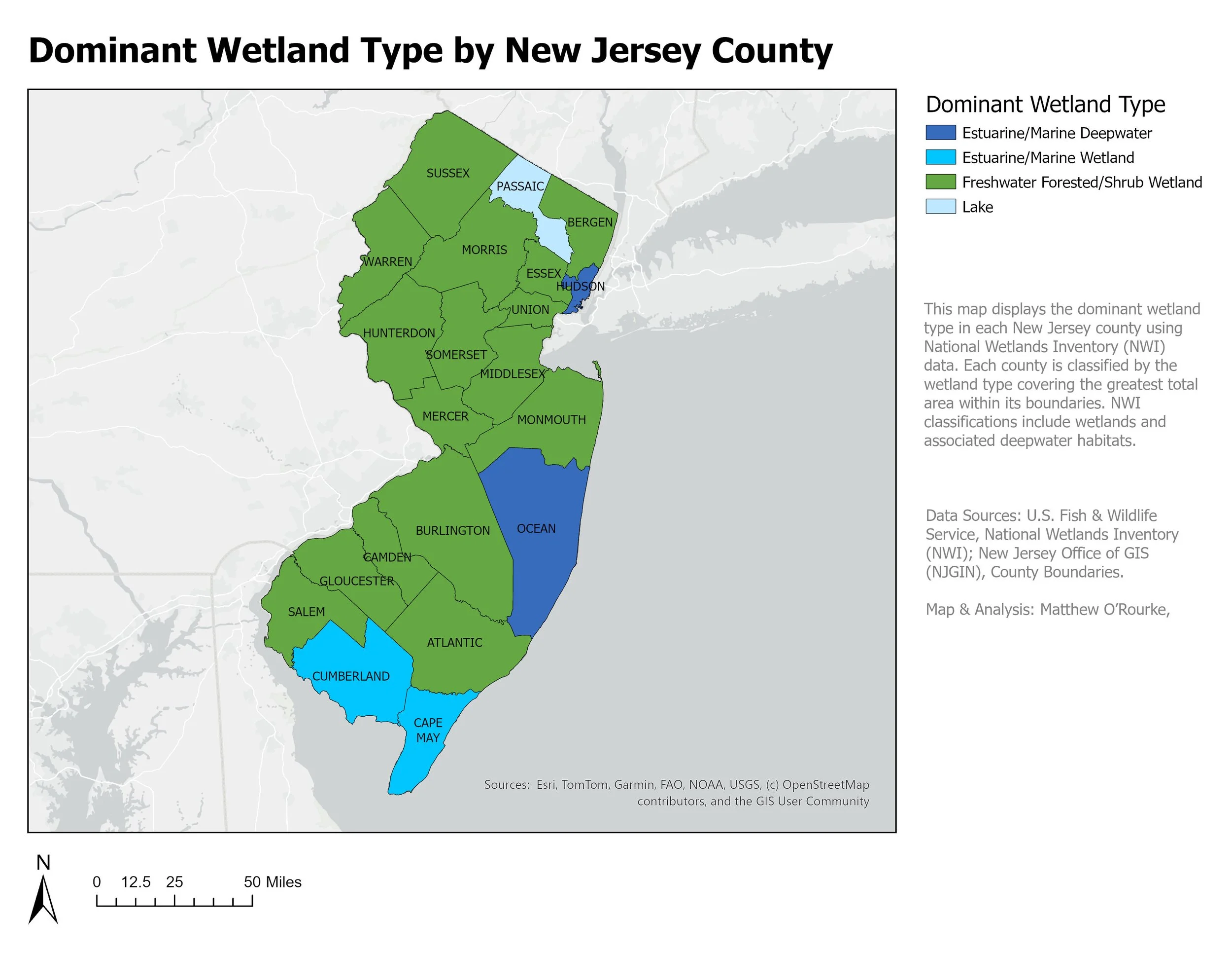 Dominant Wetland by New Jersey County