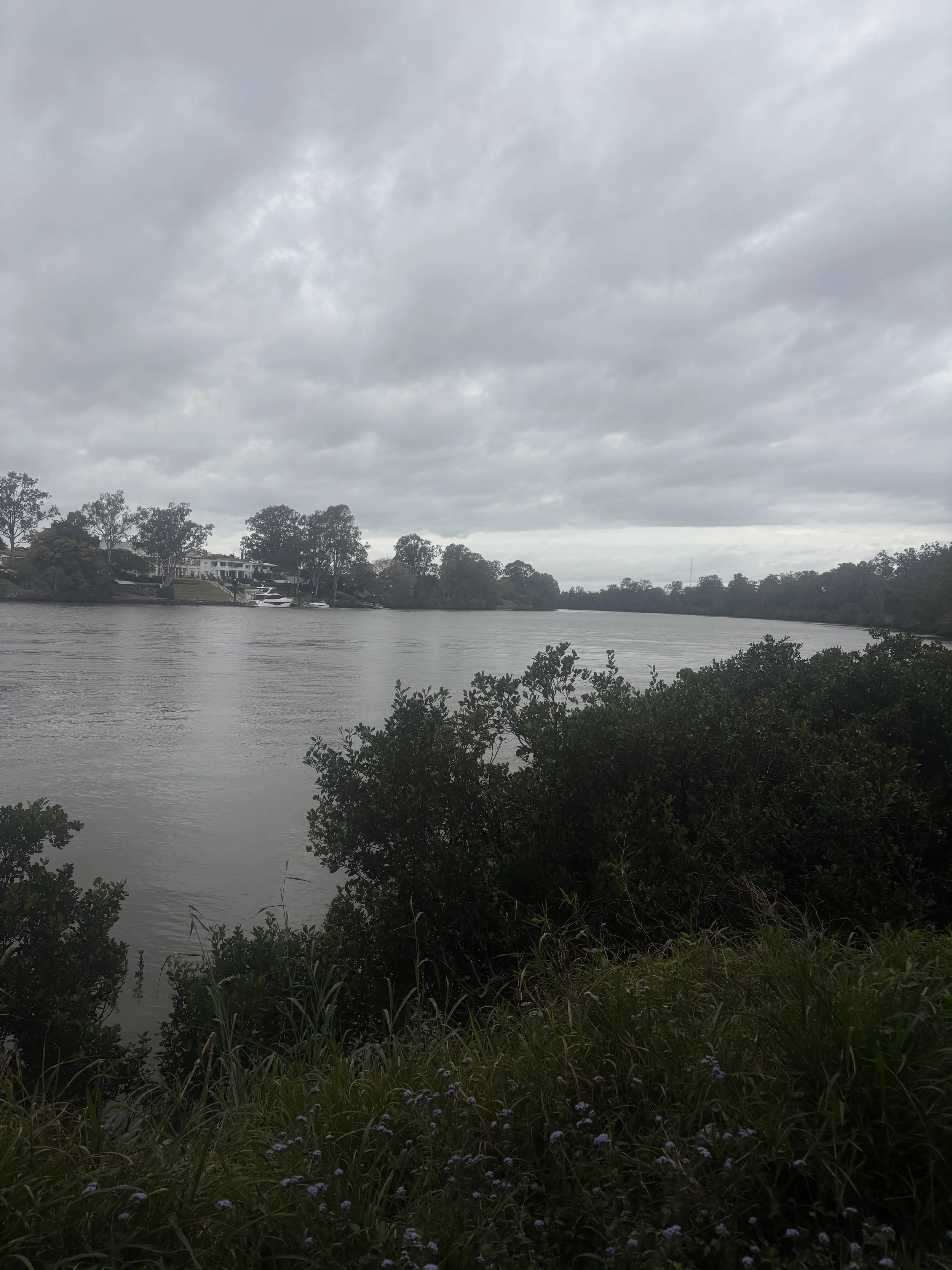 Overcast sky with dark gray clouds over a river, with trees and houses visible along the shoreline and shrubs in the foreground.