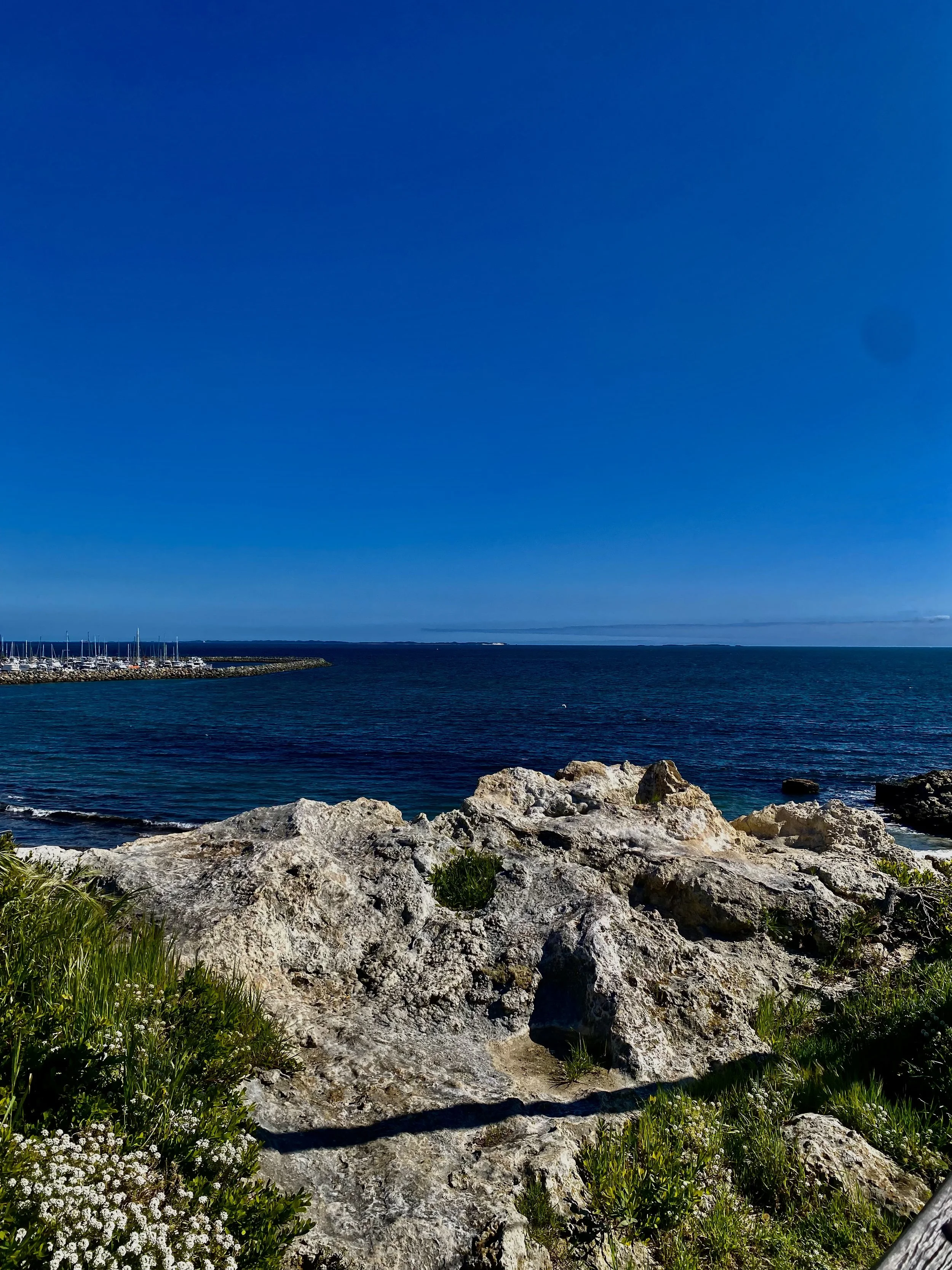 A view of a harbor with sailboats, a rocky shoreline with green grass, and a bright blue sky with sparse clouds.