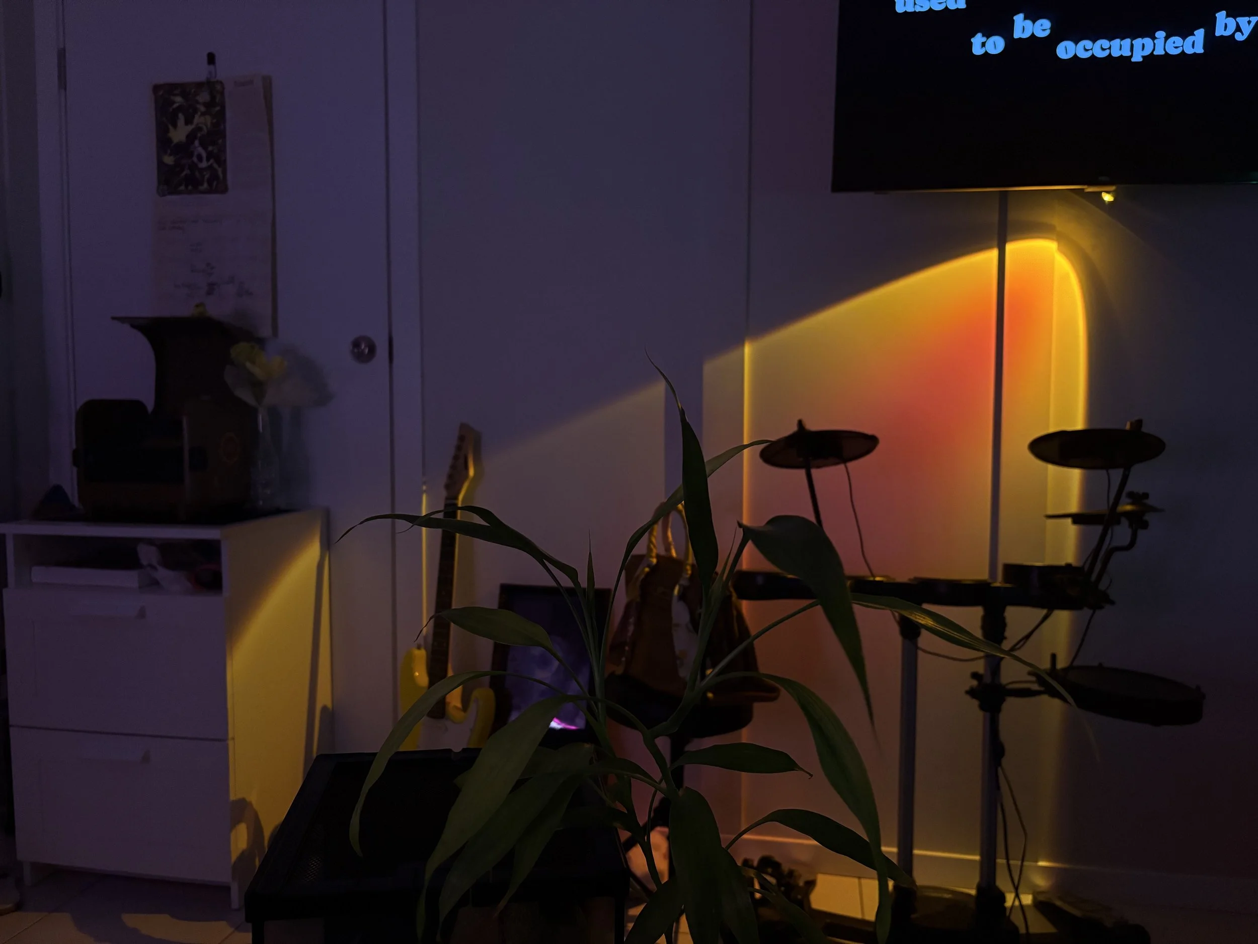 Dimly lit room with a large screen displaying blue text, indoor plants in the foreground, white shelves with various objects, and a door in the background.