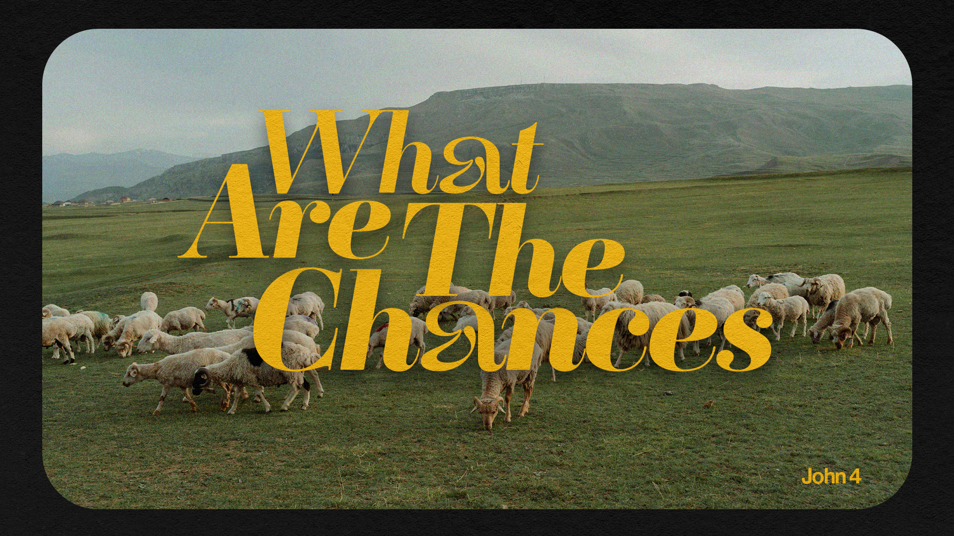 A pastoral scene with a flock of white sheep grazing on a green field, mountains in the background, overlaid with the text 'What Are The Chances' in large yellow font, and a small caption 'John 4' in the bottom right corner.
