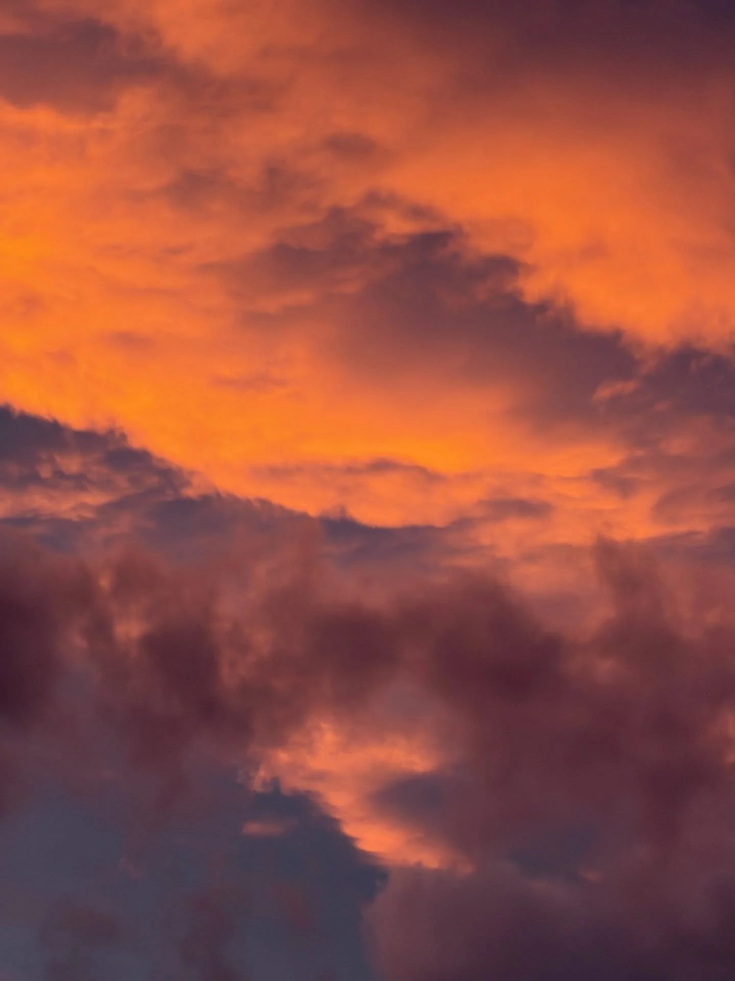 sping!

I love spring. It&rsquo;s my favorite season. Smells and activity and life and sun. We can ski and mountain bike and rollerblade and walk and skate and do it all. Our sports are on. There&rsquo;s a feeling of opportunity and growth and abunda