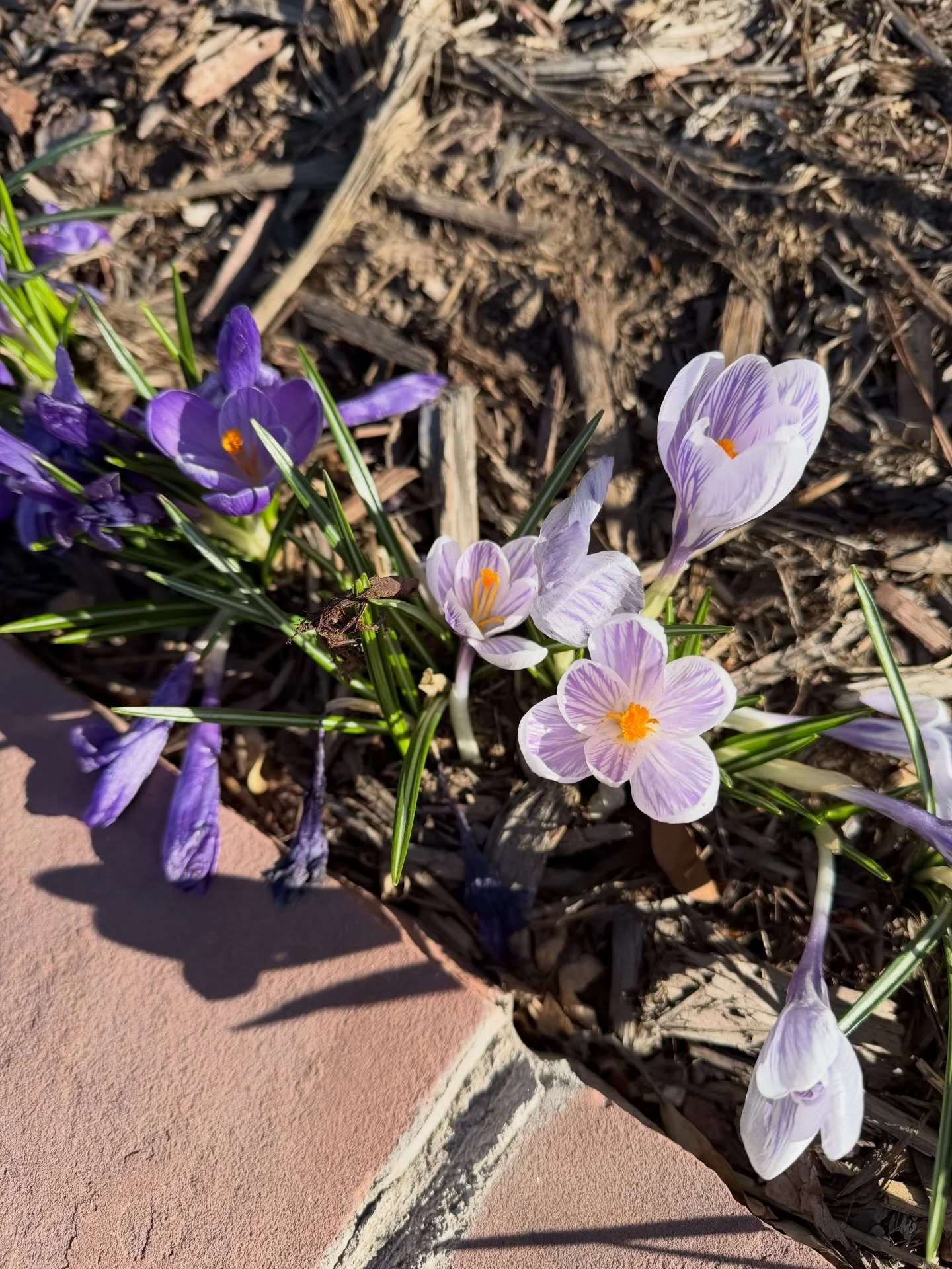 your Thursday funnies