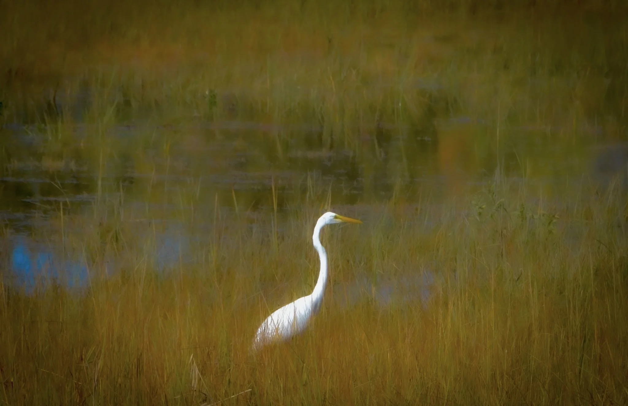 DSC_6894-2.jpeg