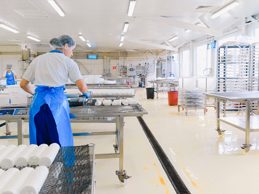 Diseño de Especificaciones Técnicas (Alimentos y Manufactura).