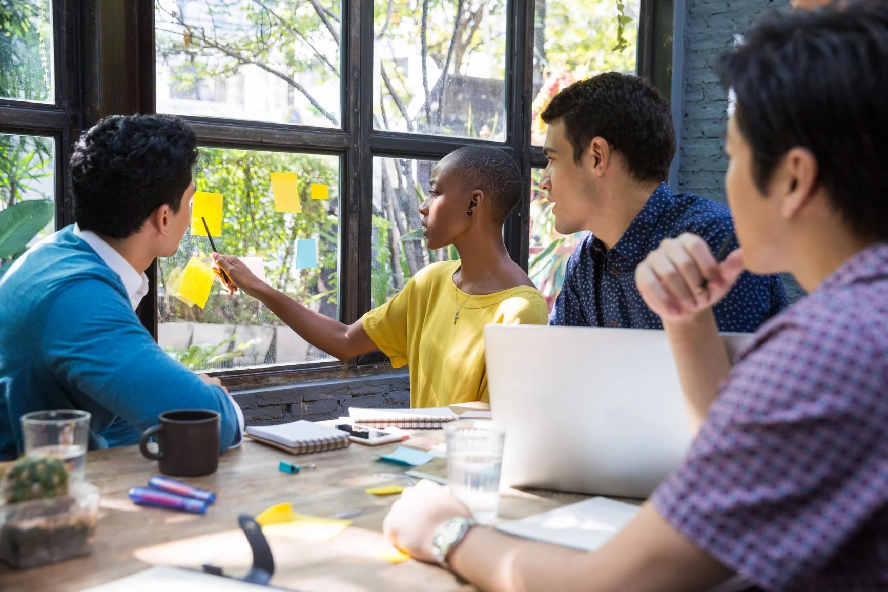 Volunteer Ambassador Program Development