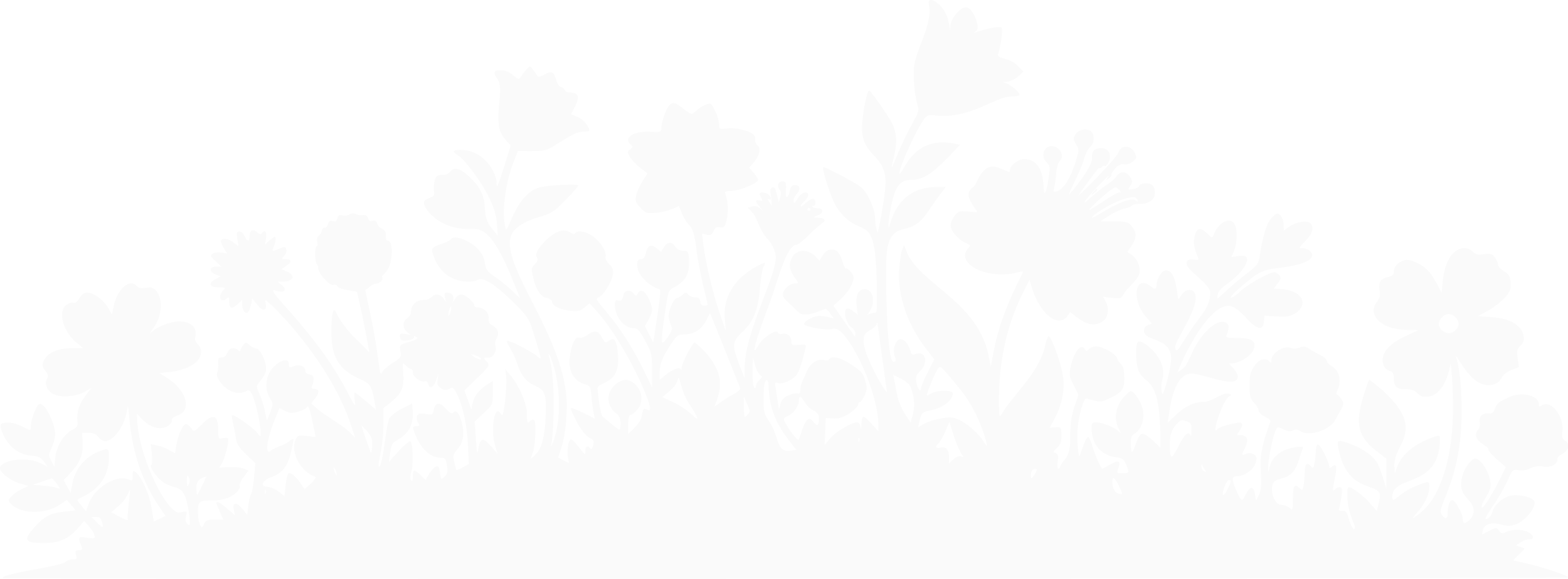 Silhouette of various flowers and plants in white against a black background.
