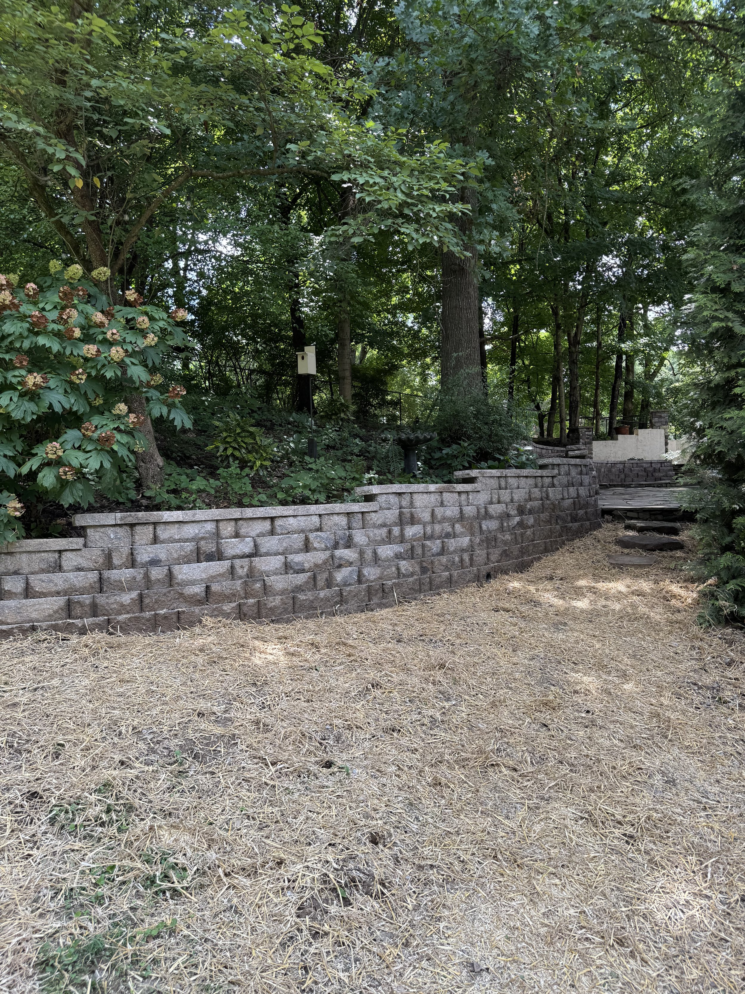 A backyard with a stone retaining wall, a birdbath, trees, shrubs, and a grassy area with patches of dried grass.