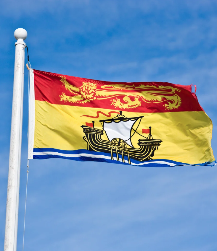Flag with a red and yellow top section featuring a golden dragon, a yellow middle section, and a blue and white bottom section, flying against a blue sky.